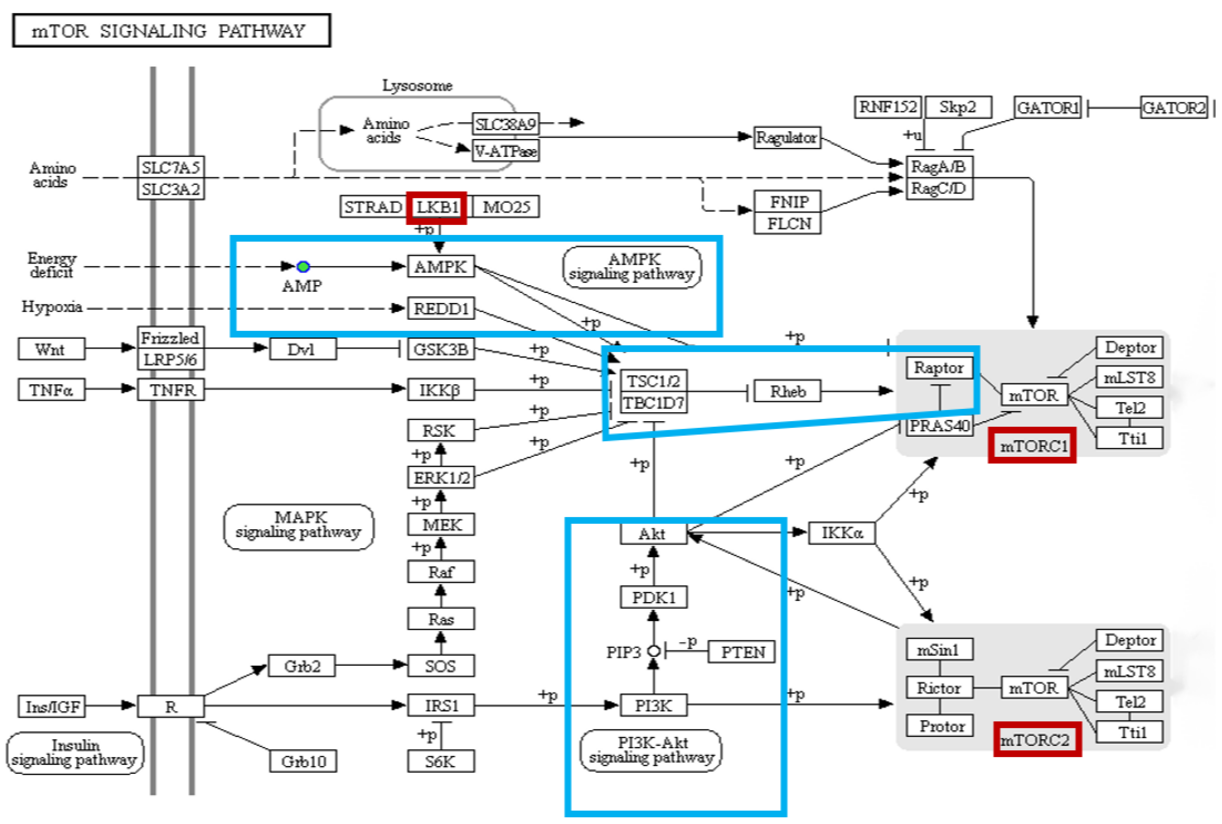 Animals 12 02611 g006