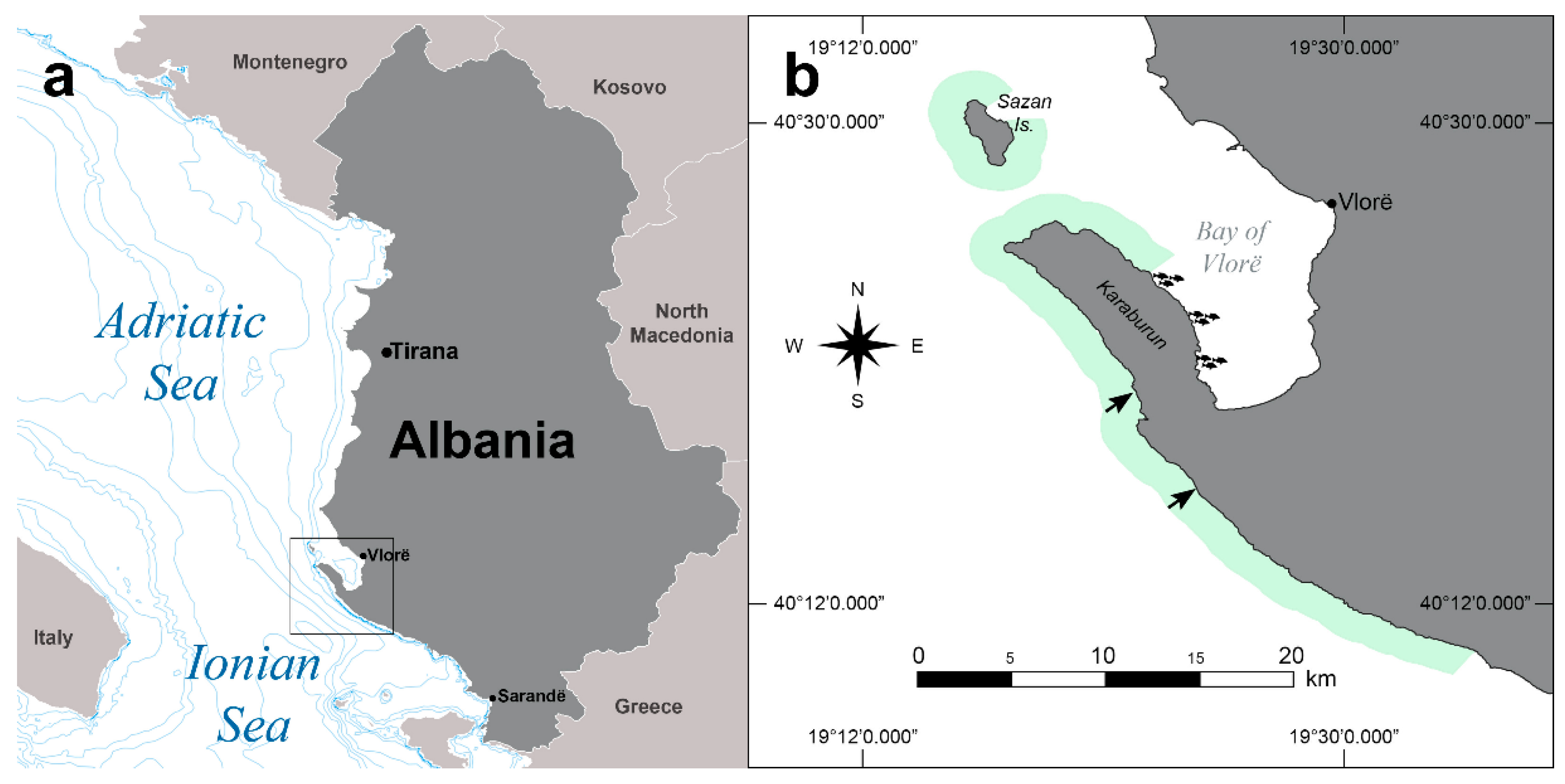 Animals 12 02620 g001 550