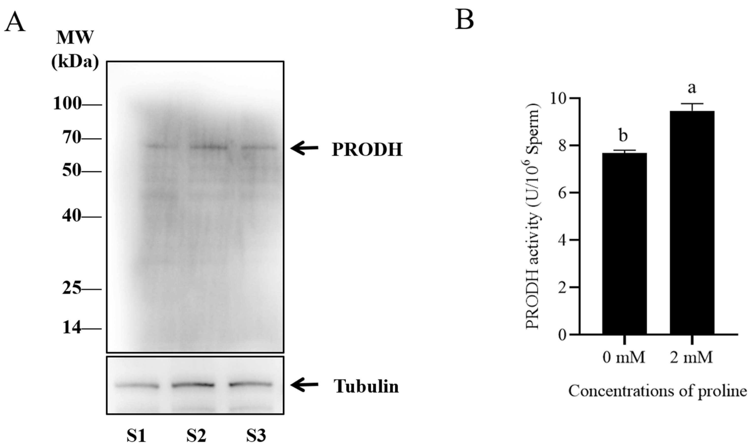 Animals 12 02626 g003 Animals 12 02626 g003