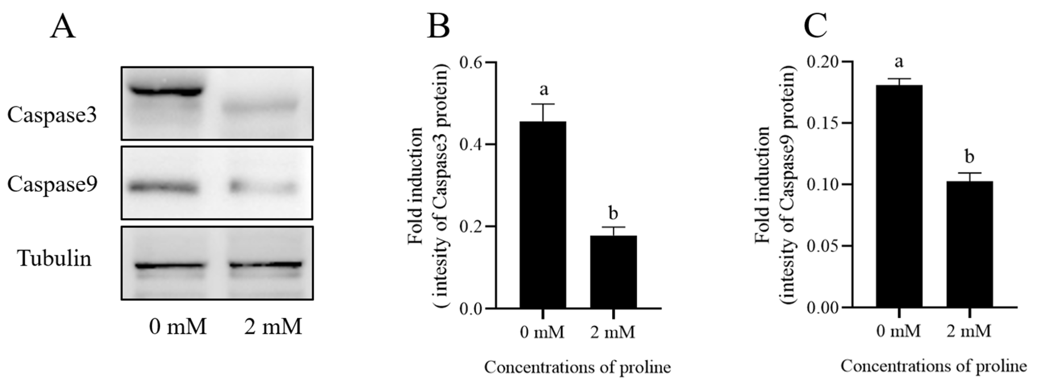 Animals 12 02626 g005 Animals 12 02626 g005