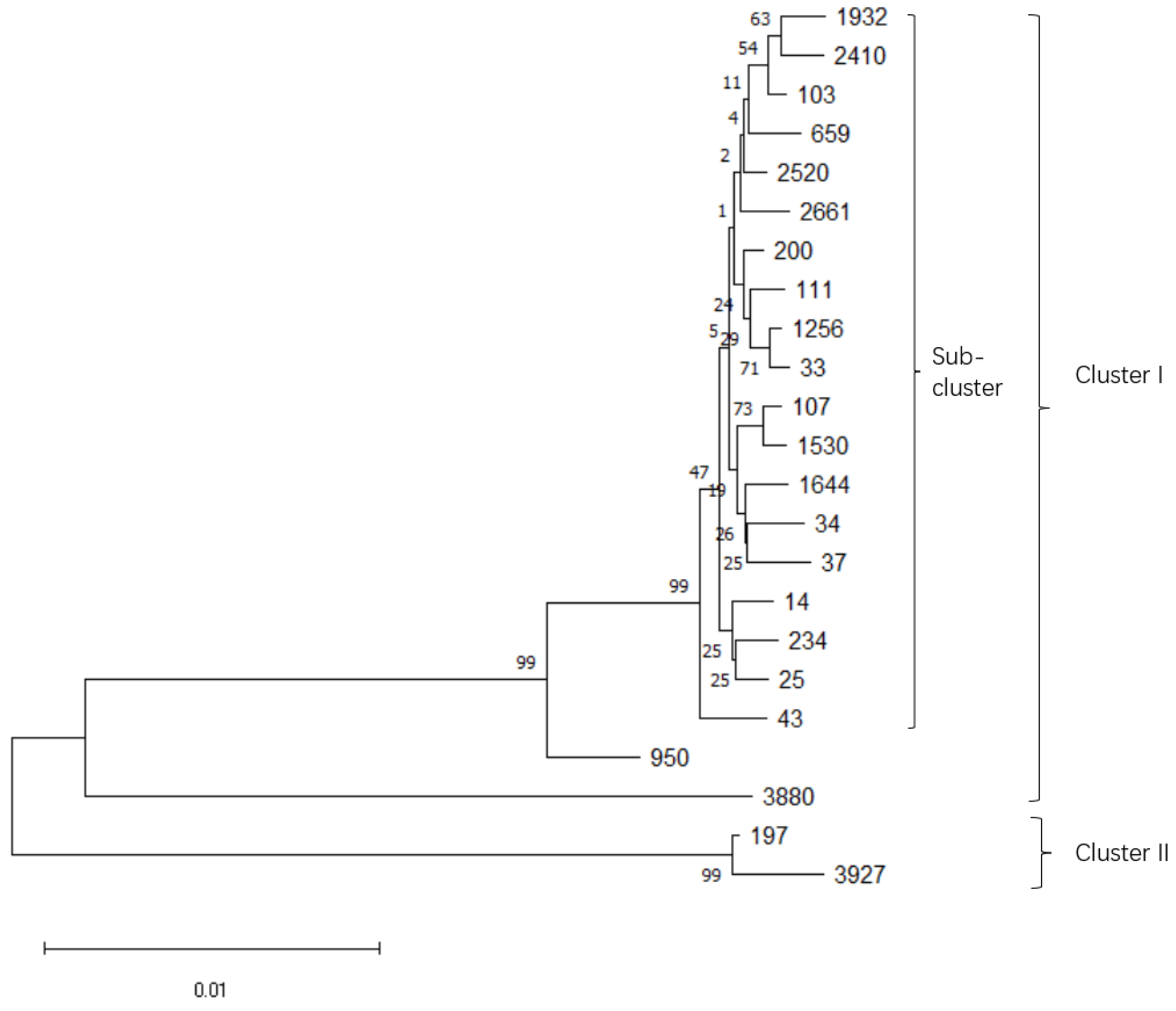 Animals 12 02627 g001