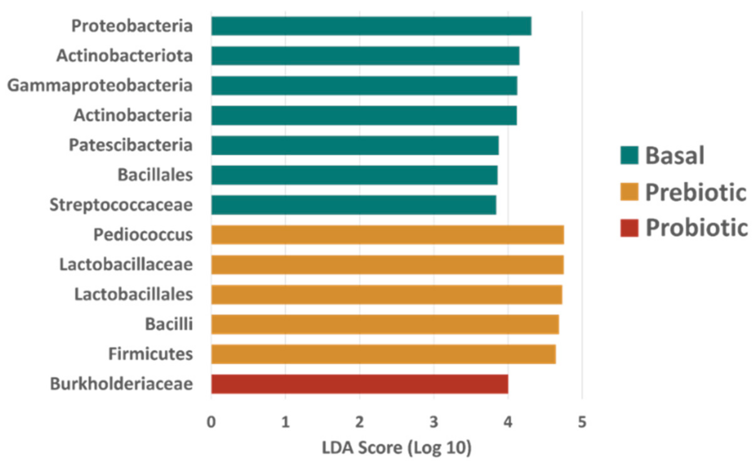 Animals 12 02629 g005