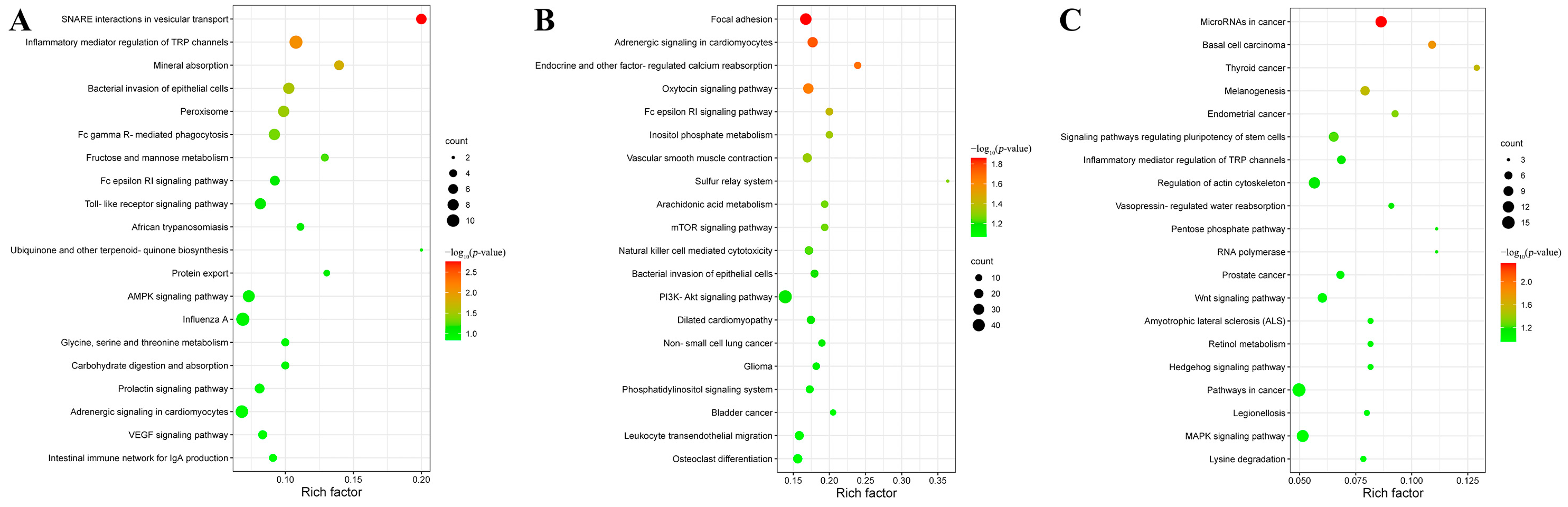 Animals 12 02638 g002