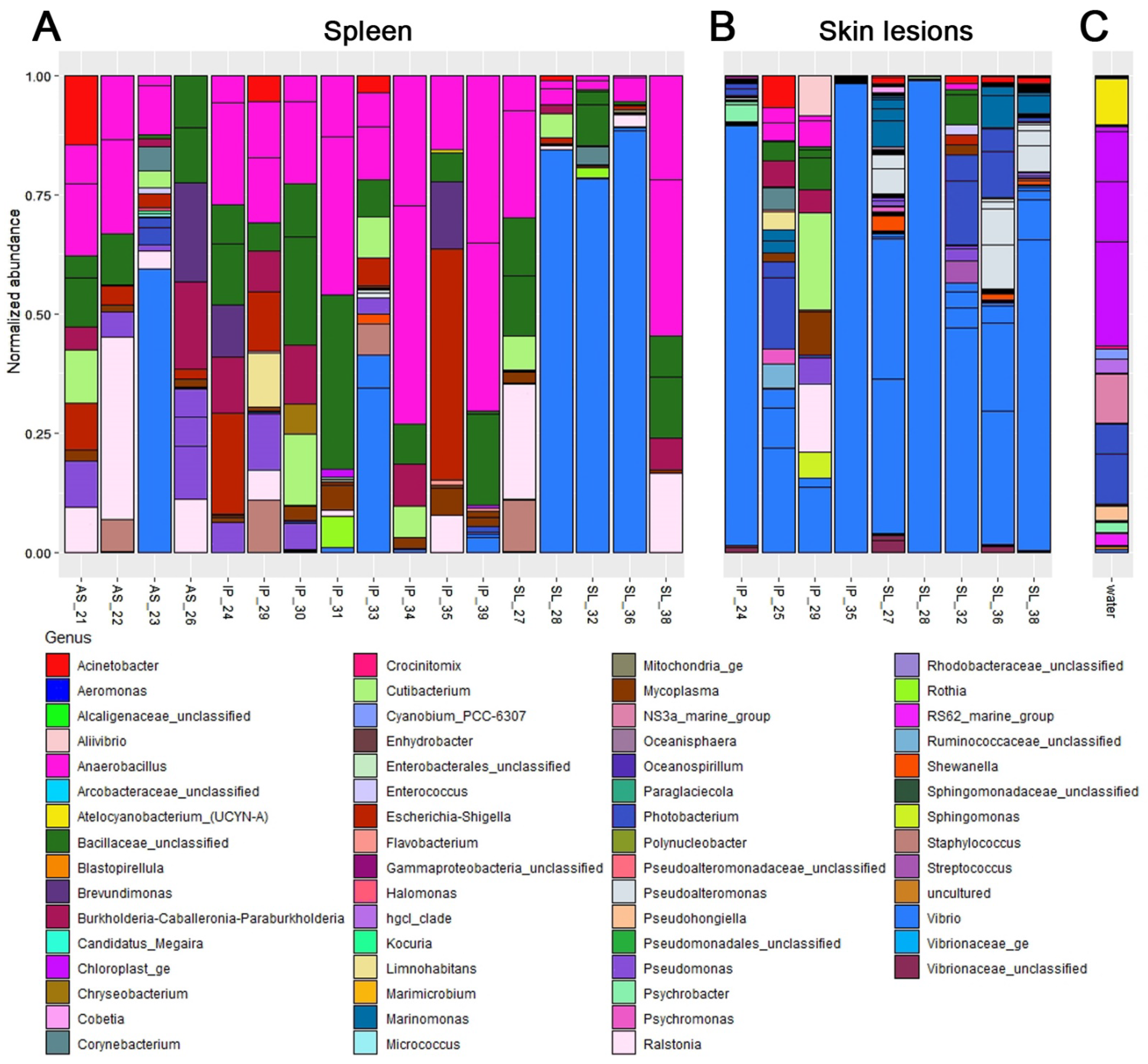 Animals 12 02642 g003