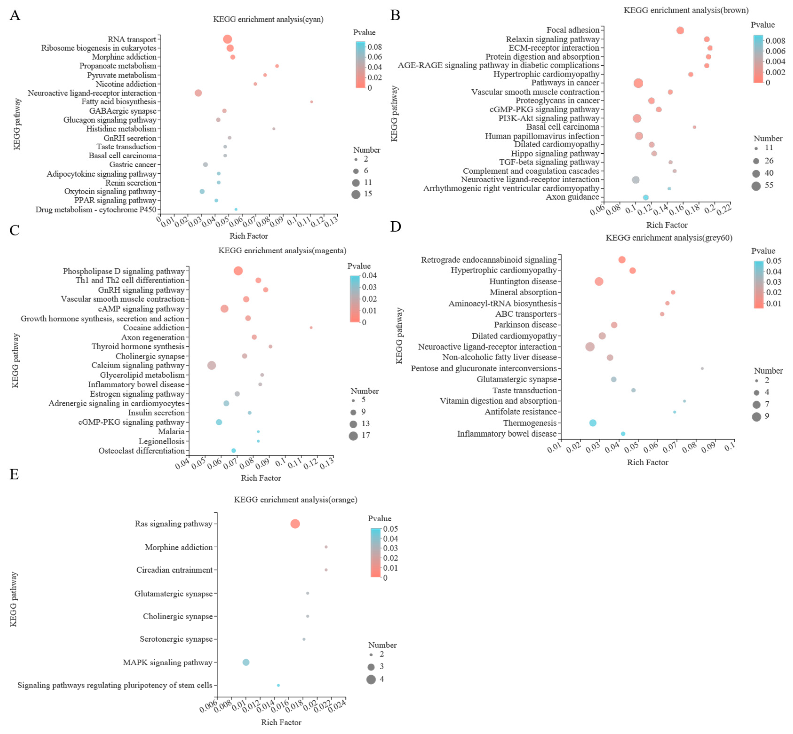 Animals 12 02644 g005