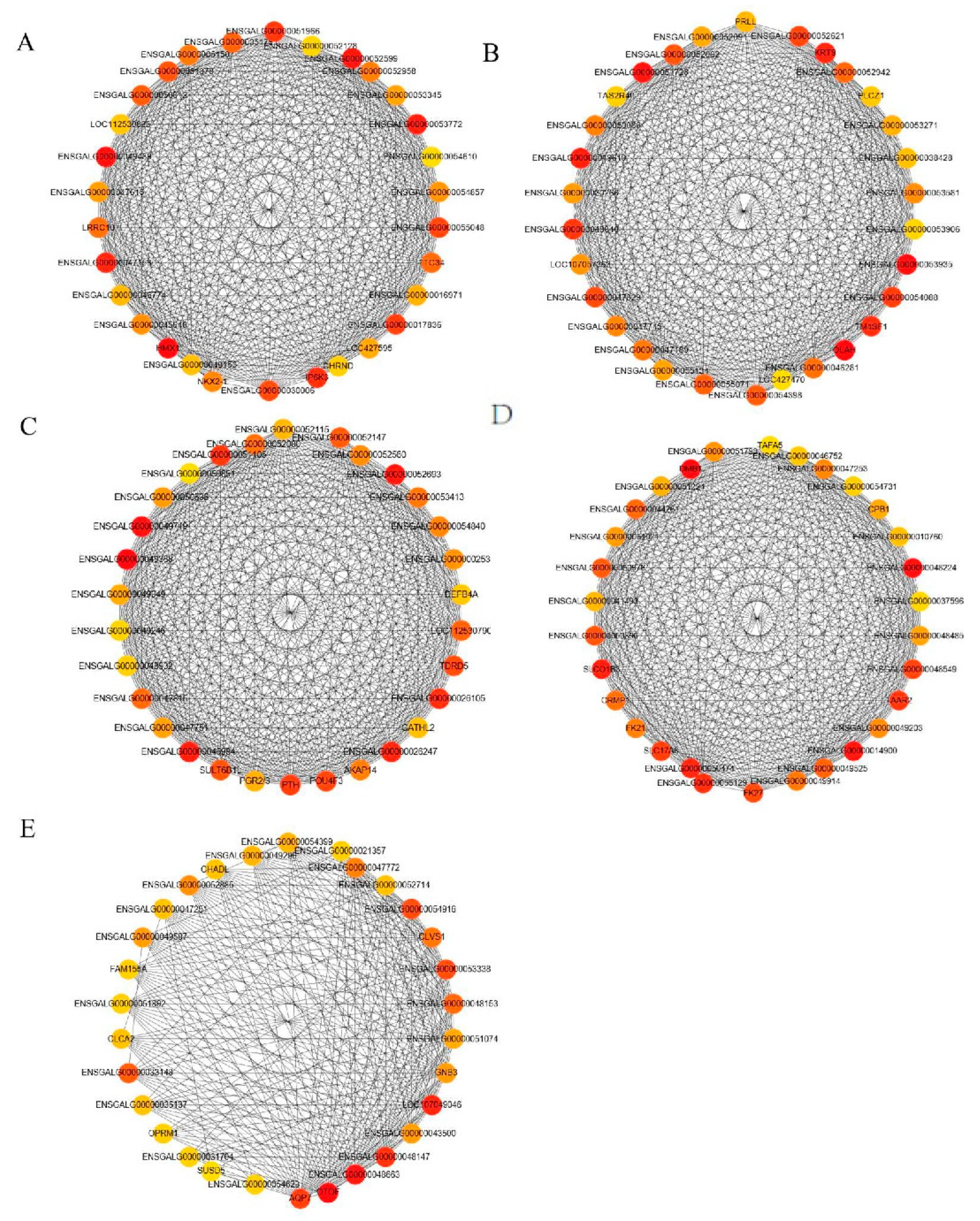 Animals 12 02644 g007