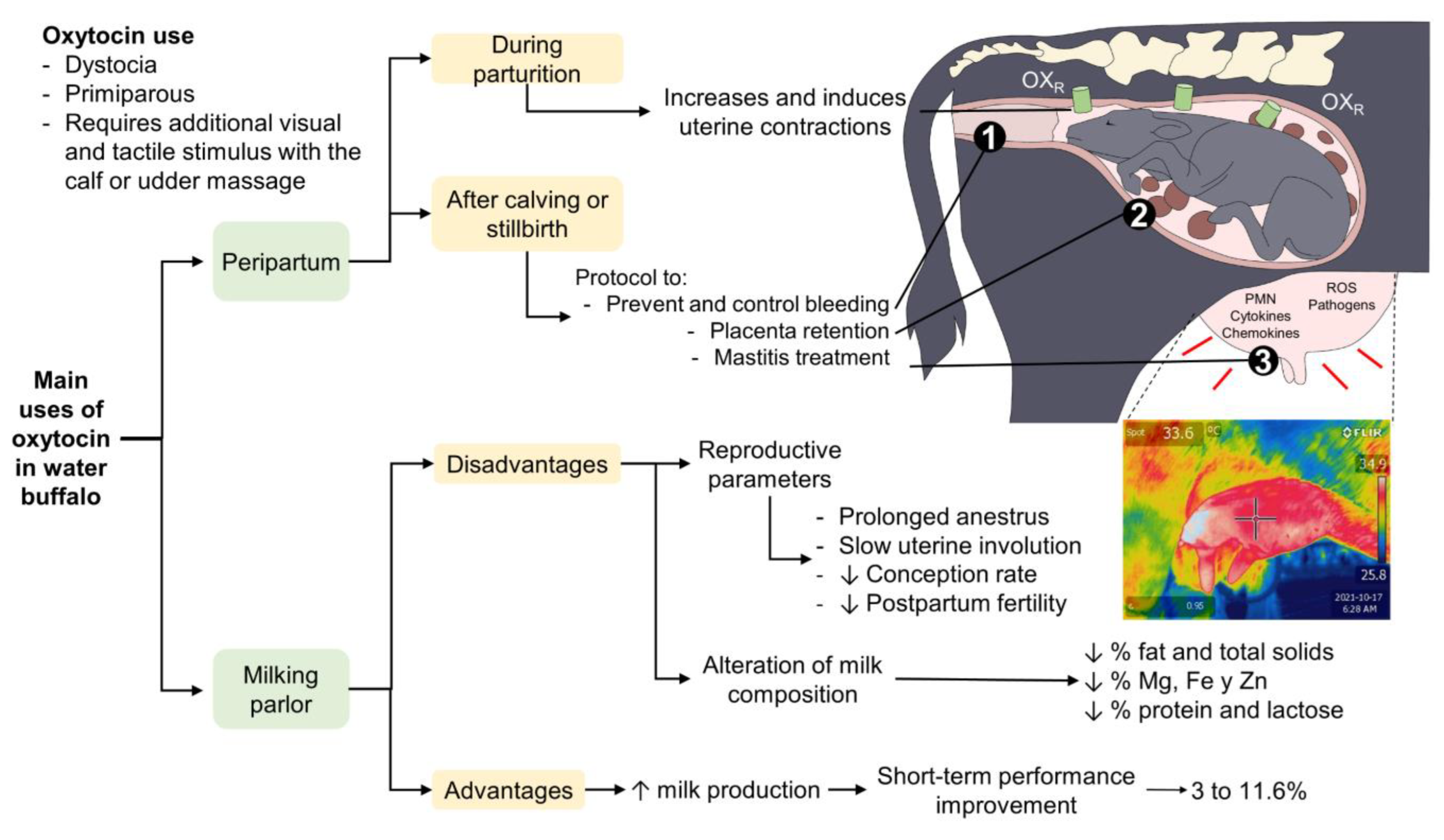 Animals 12 02649 g007 Animals 12 02649 g007