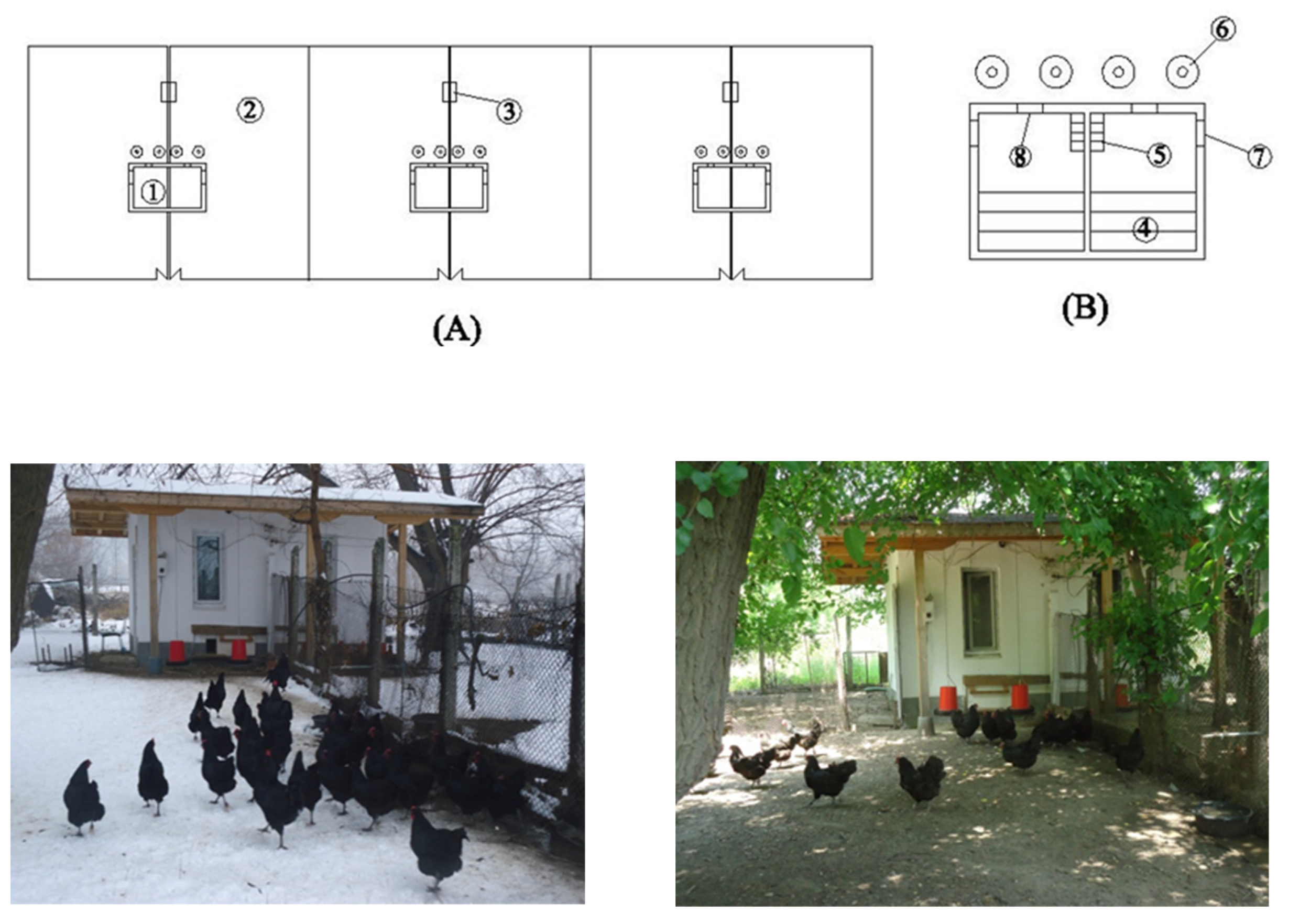Animals 12 02650 g001 Animals 12 02650 g001