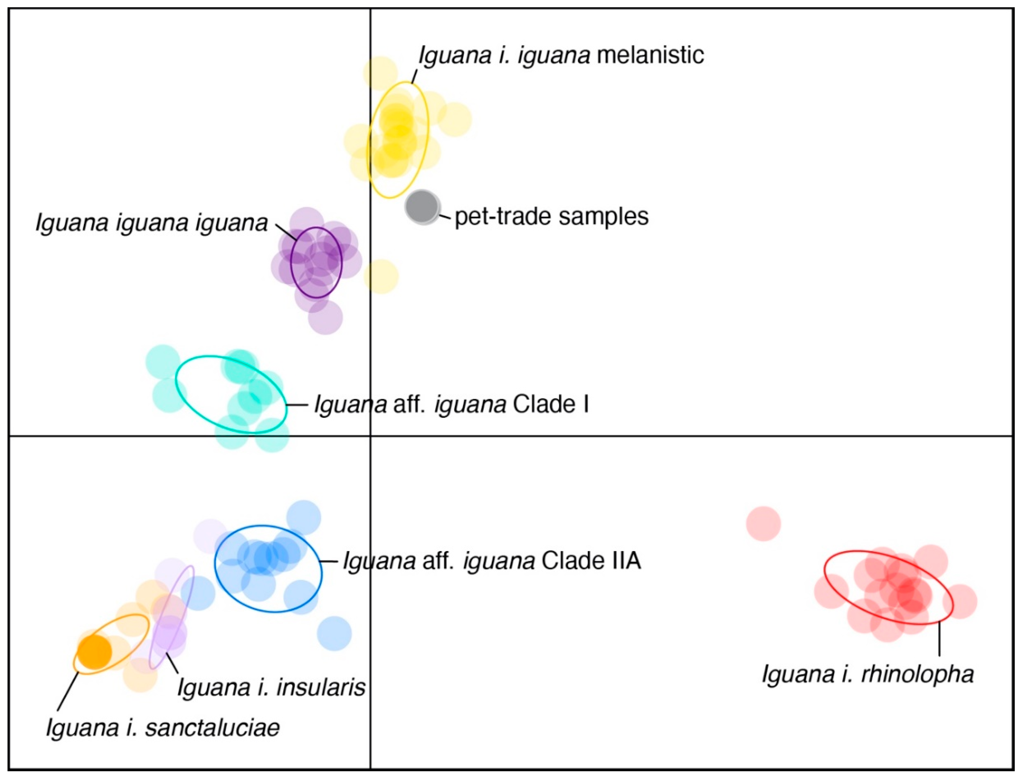 Animals 12 02660 g001