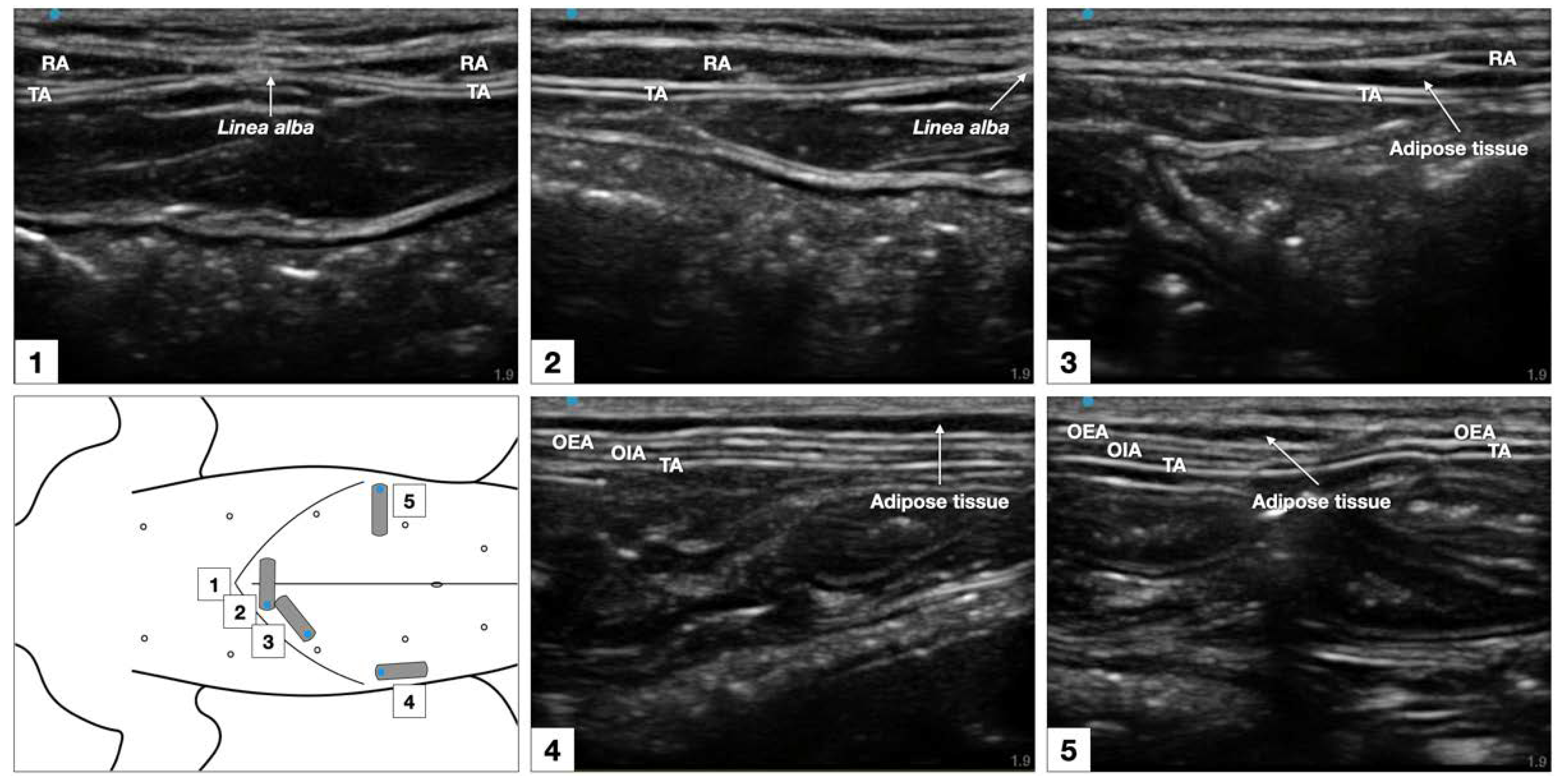 Animals 12 02674 g006