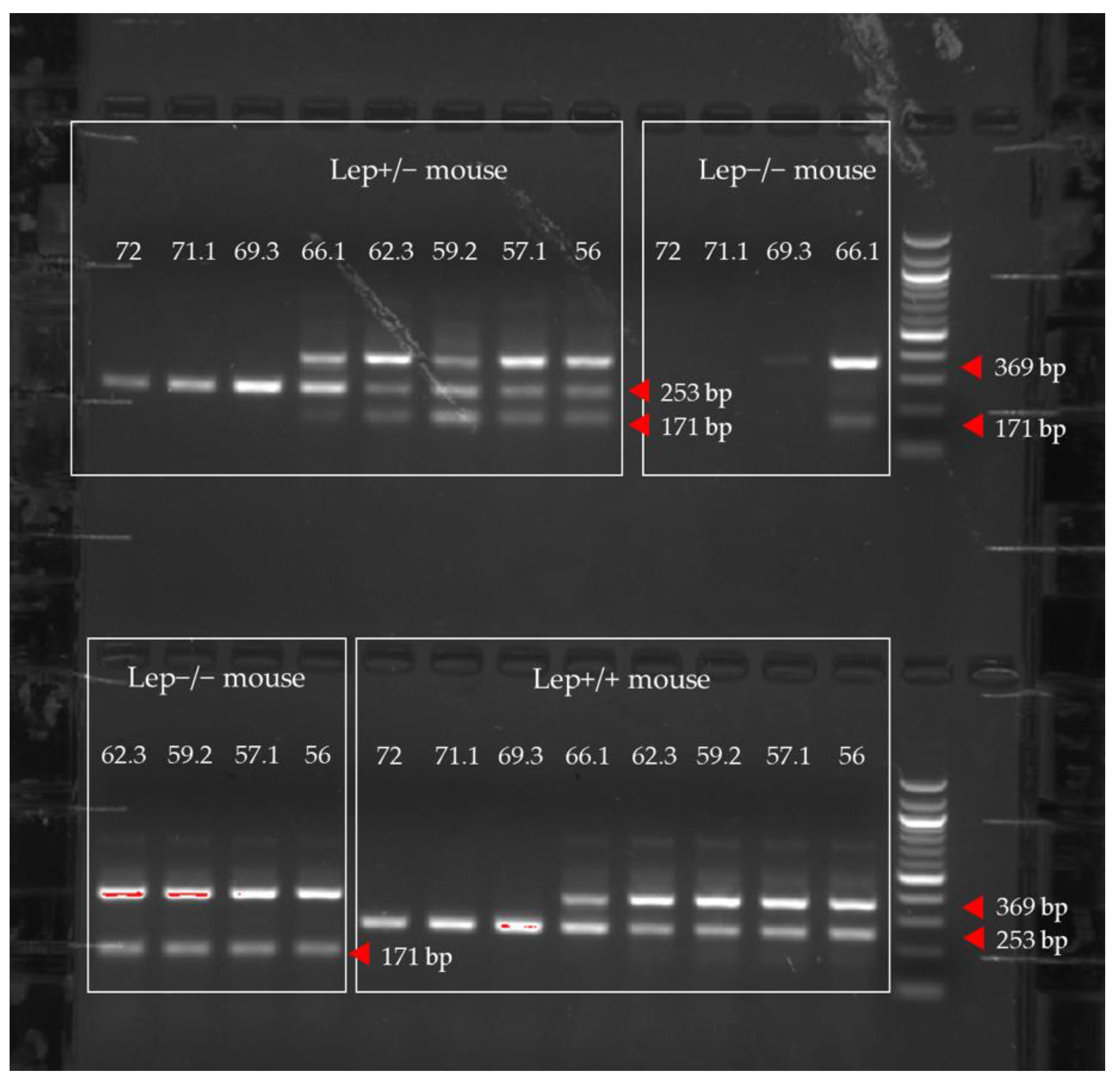 Animals 12 02680 g002 Animals 12 02680 g002