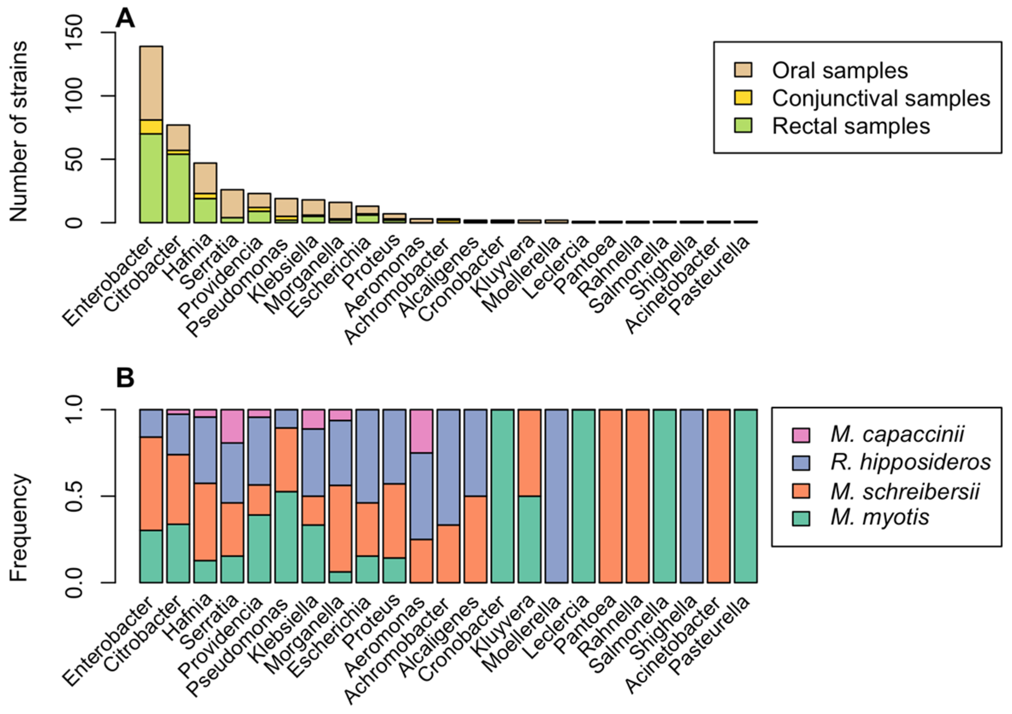 Animals 12 02684 g001