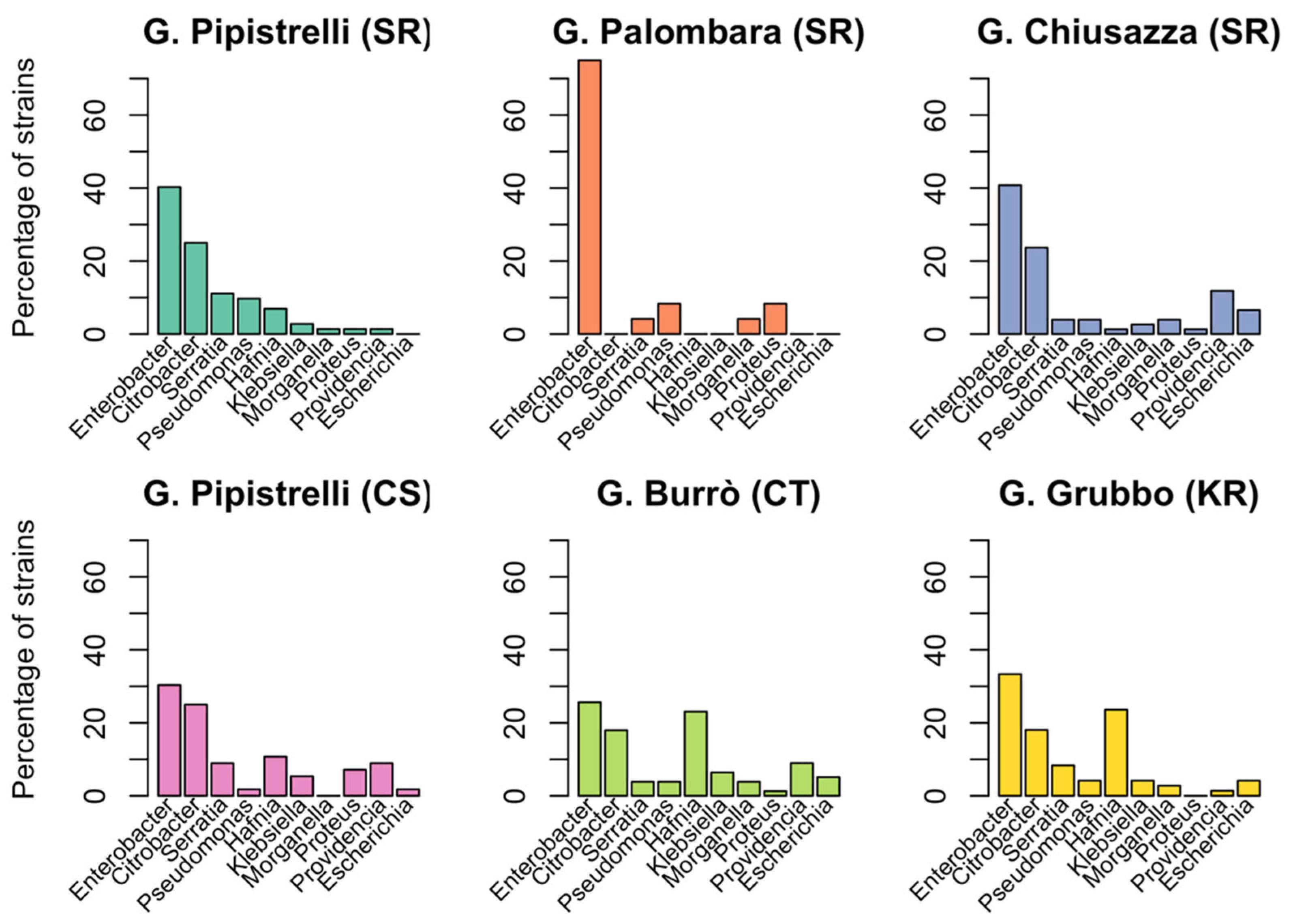 Animals 12 02684 g002