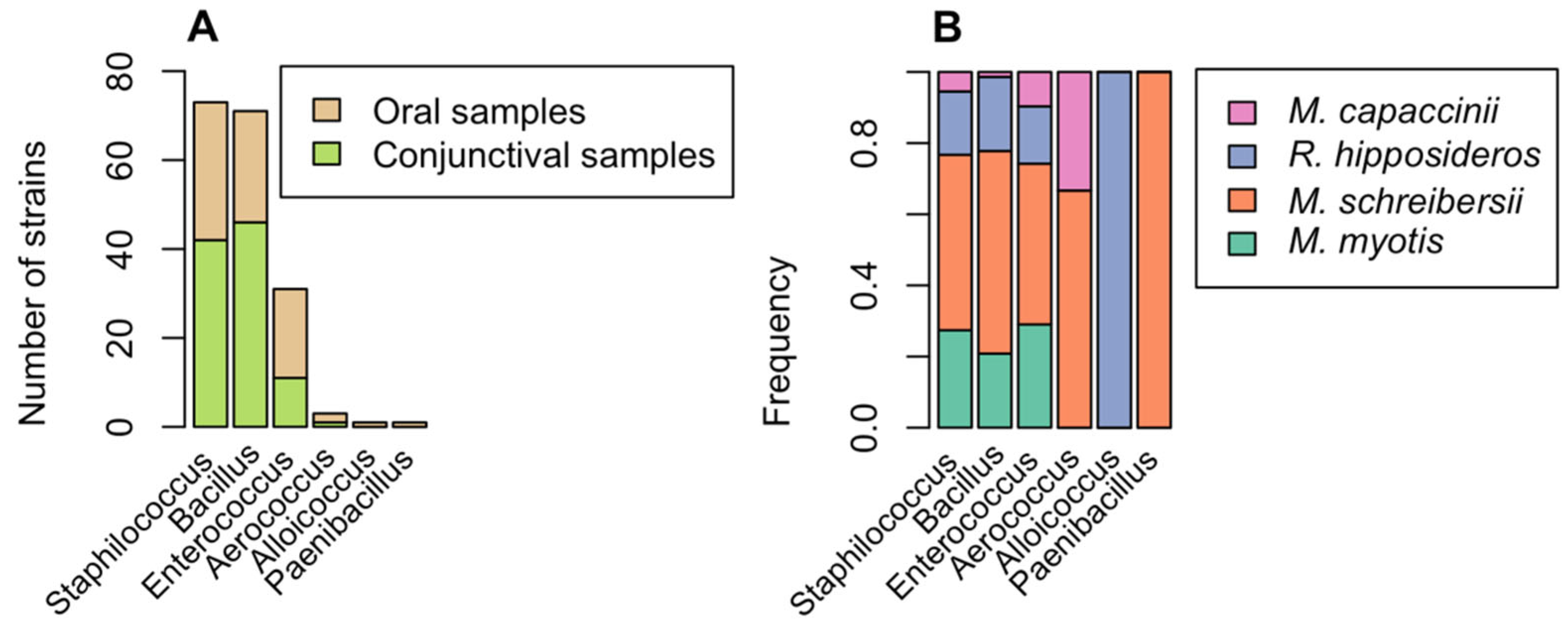 Animals 12 02684 g003