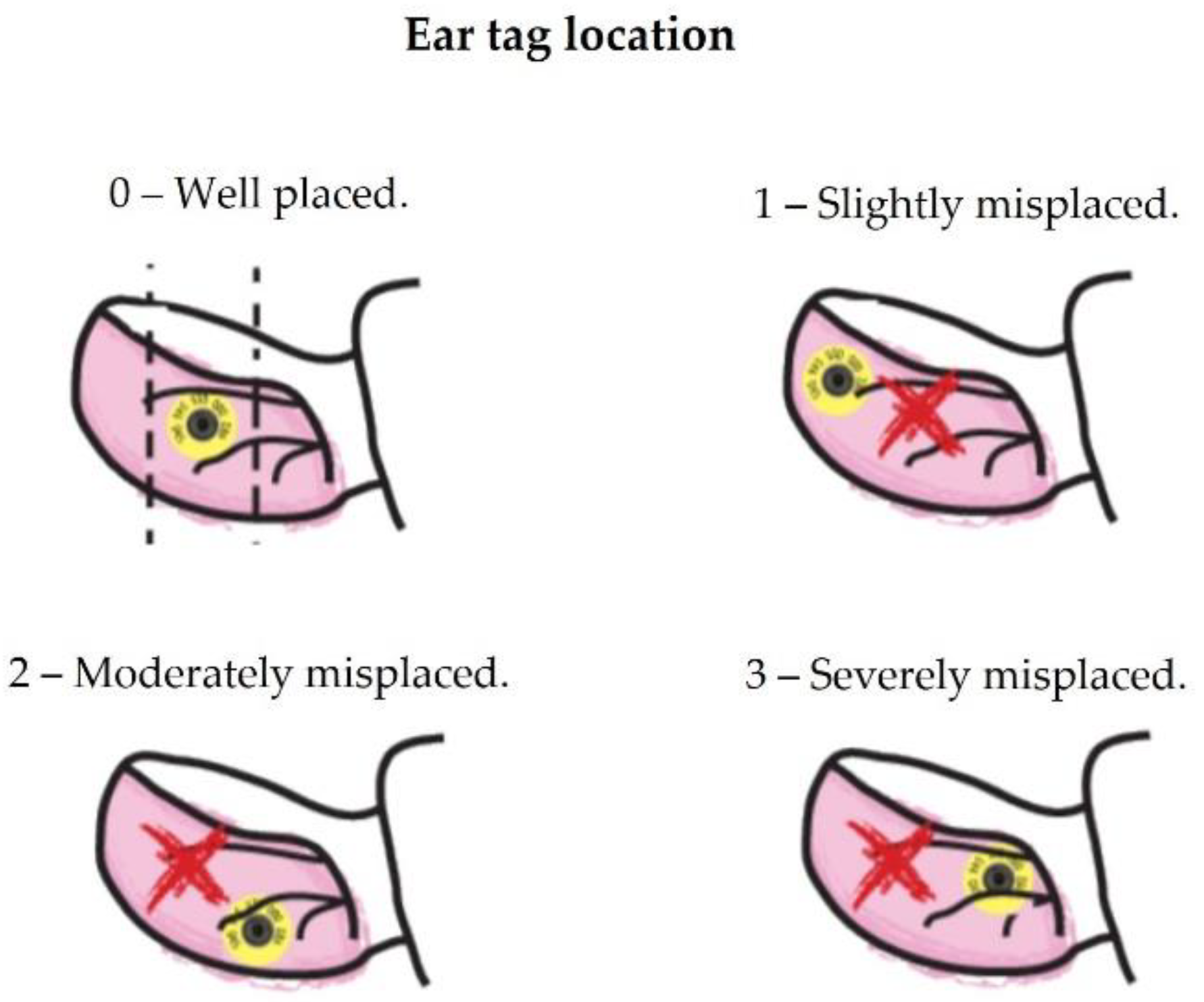 Animals 12 02689 g0a1