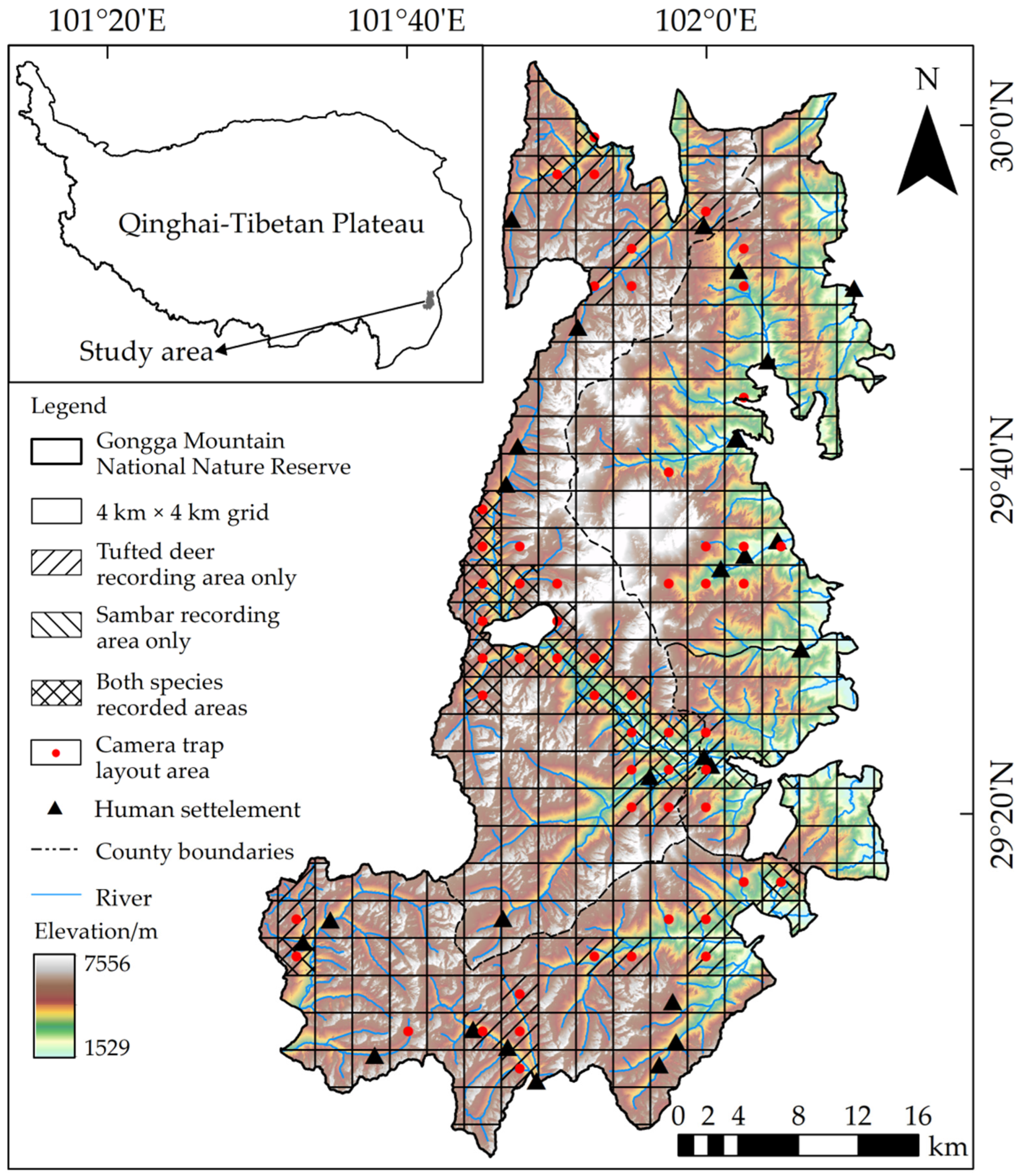 Animals 12 02694 g001