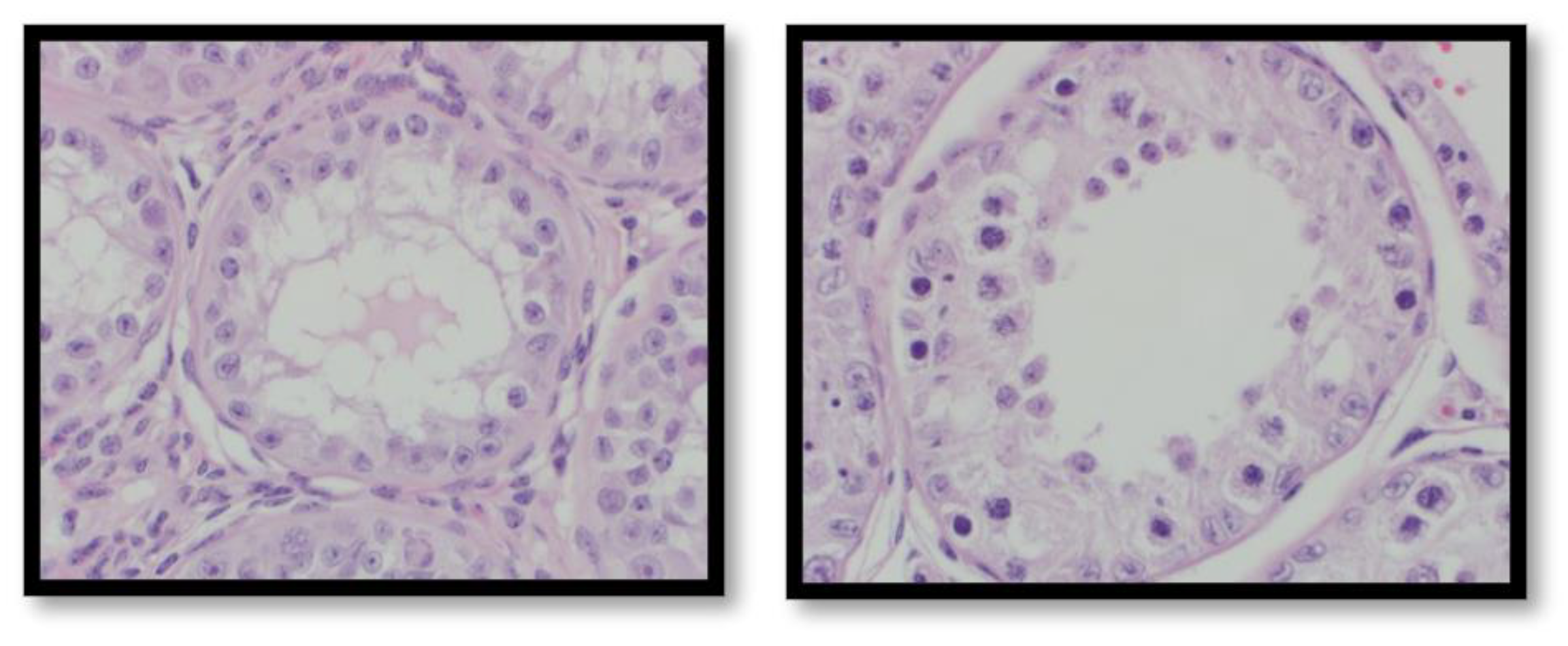 Animals 12 02698 g002