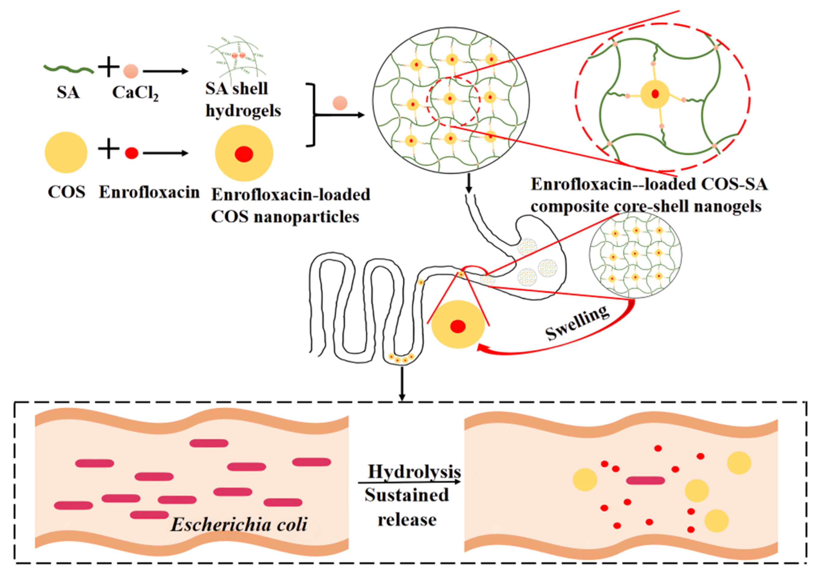 Animals 12 02701 g001 Animals 12 02701 g001
