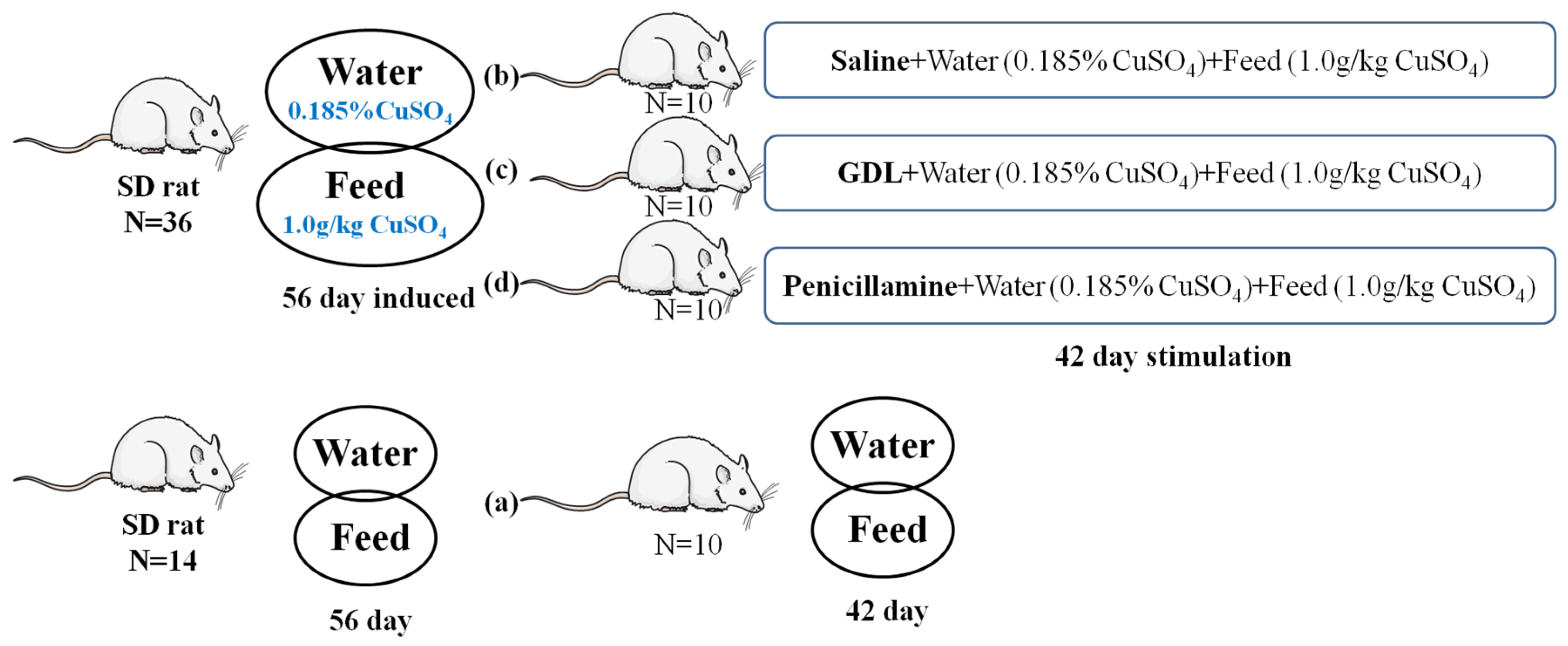Animals 12 02703 g001