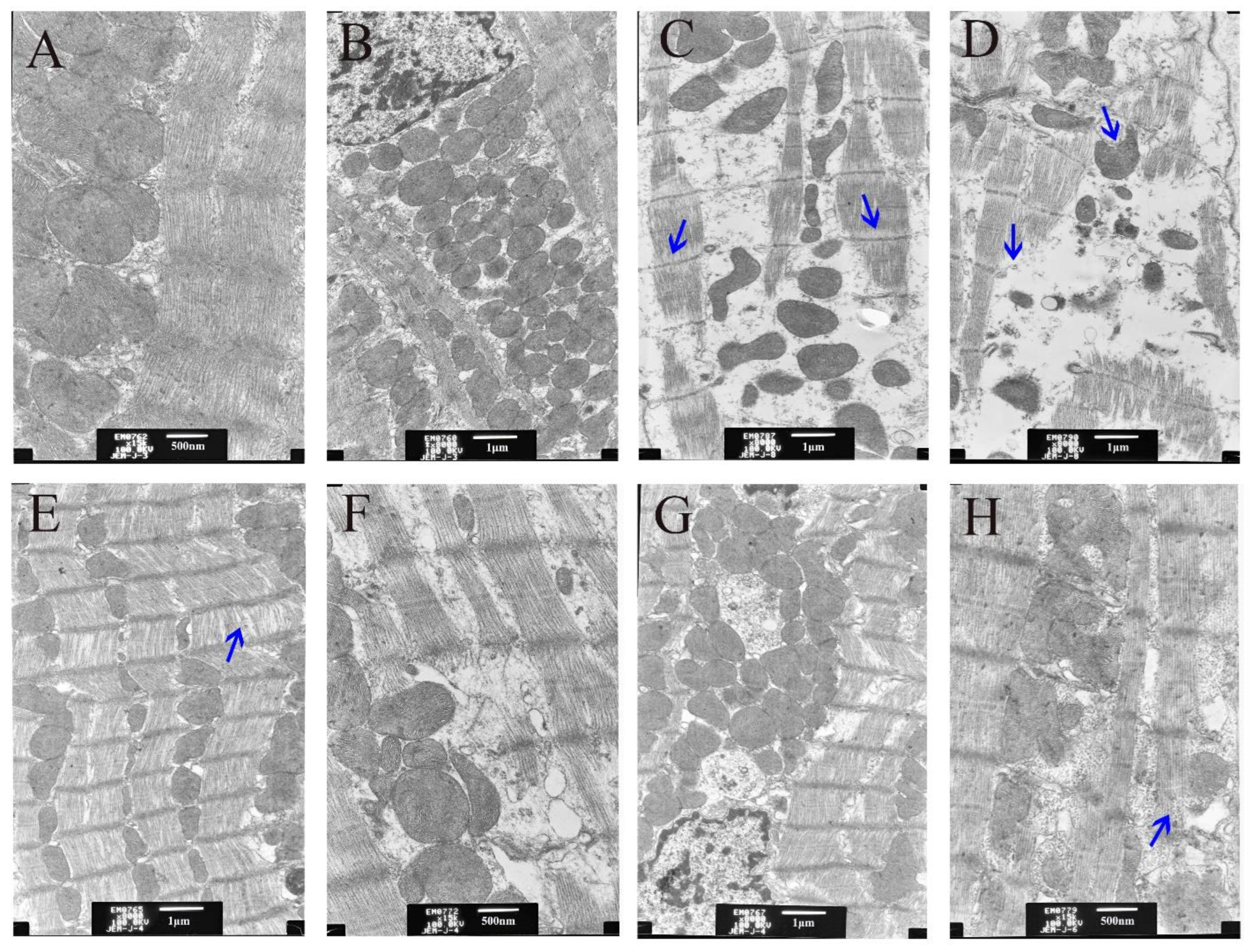 Animals 12 02703 g004