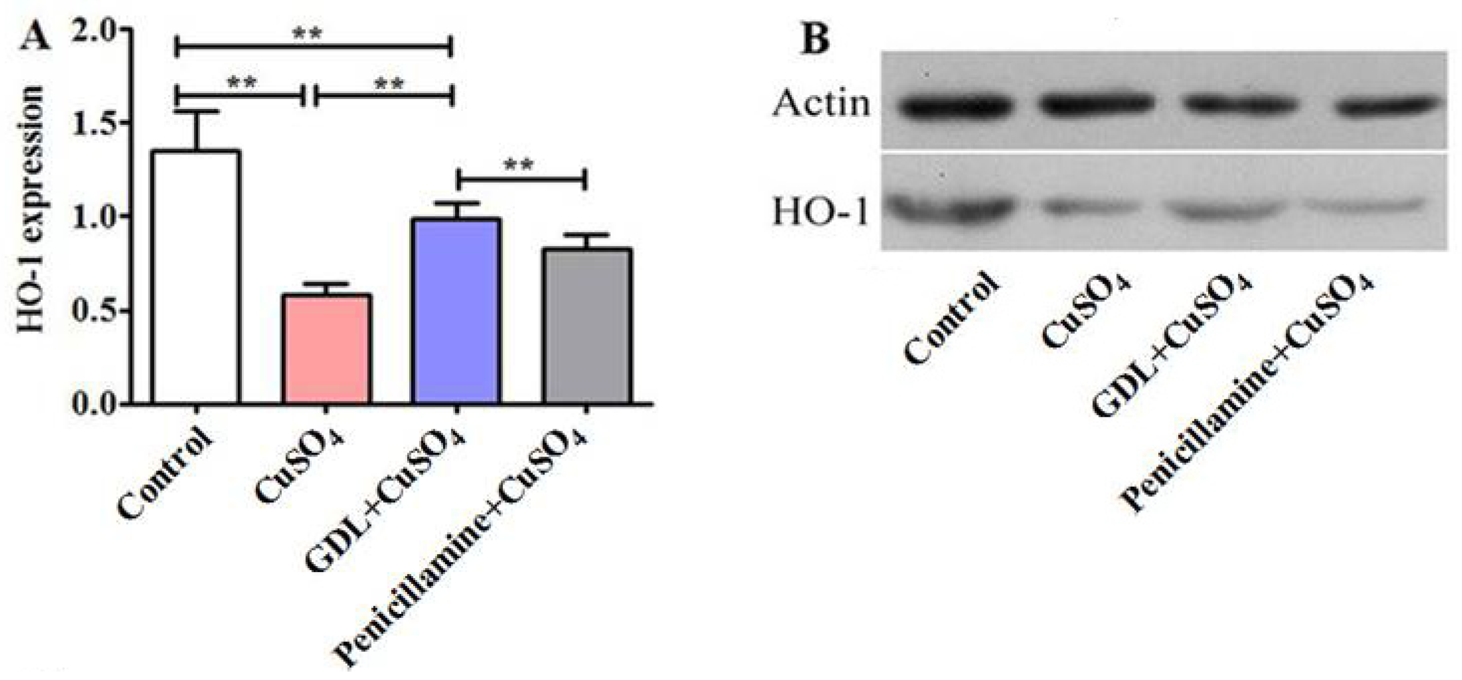 Animals 12 02703 g006