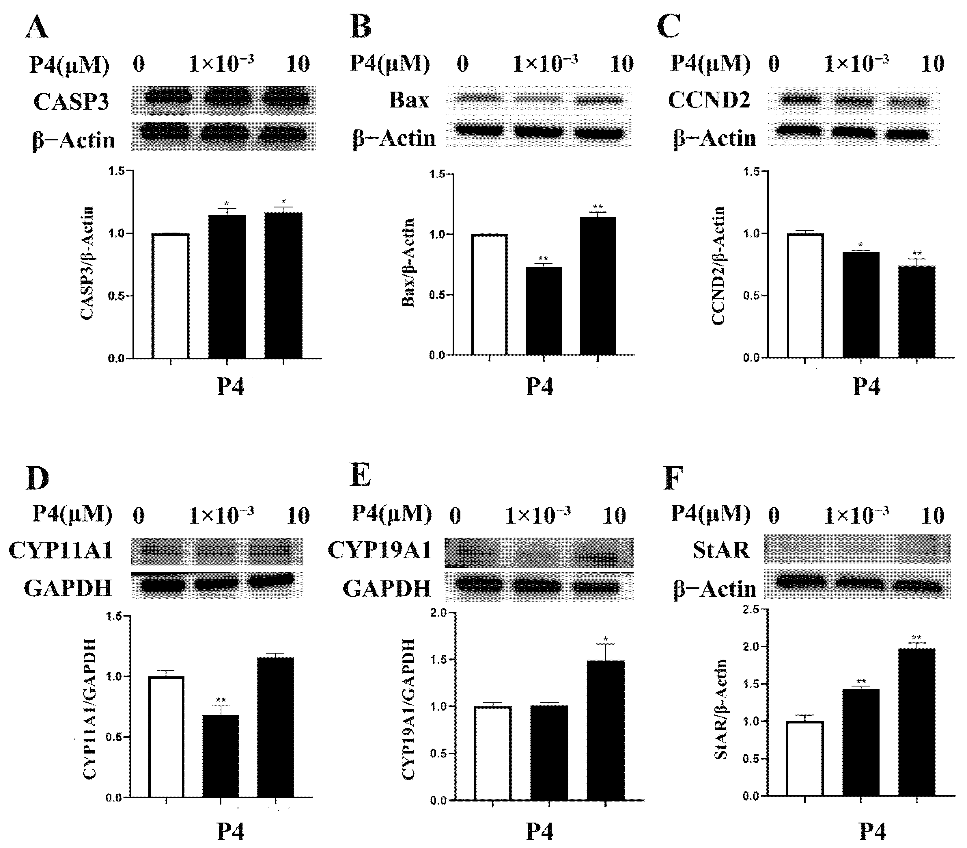 Animals 12 02704 g005 Animals 12 02704 g005