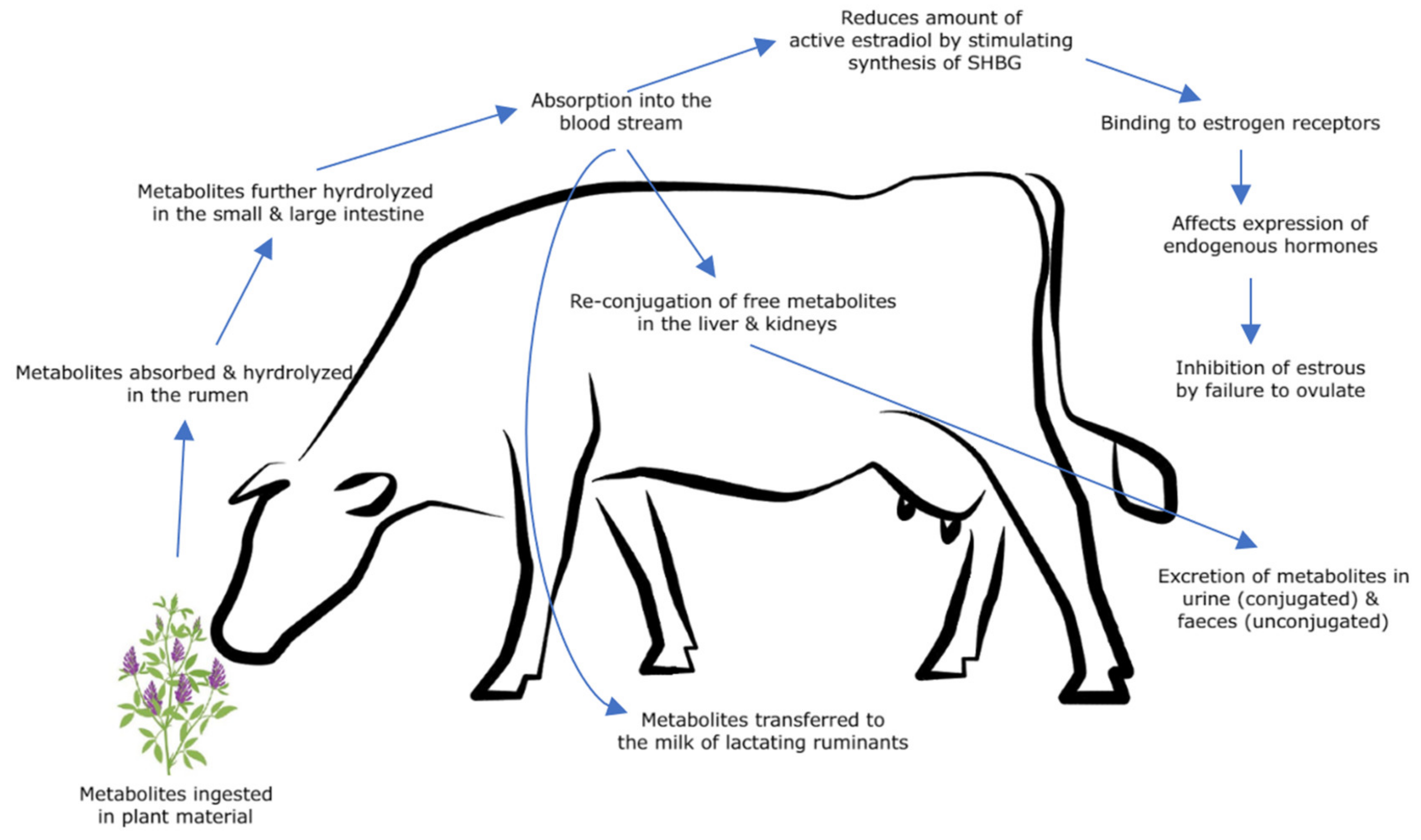 Animals 12 02709 g004