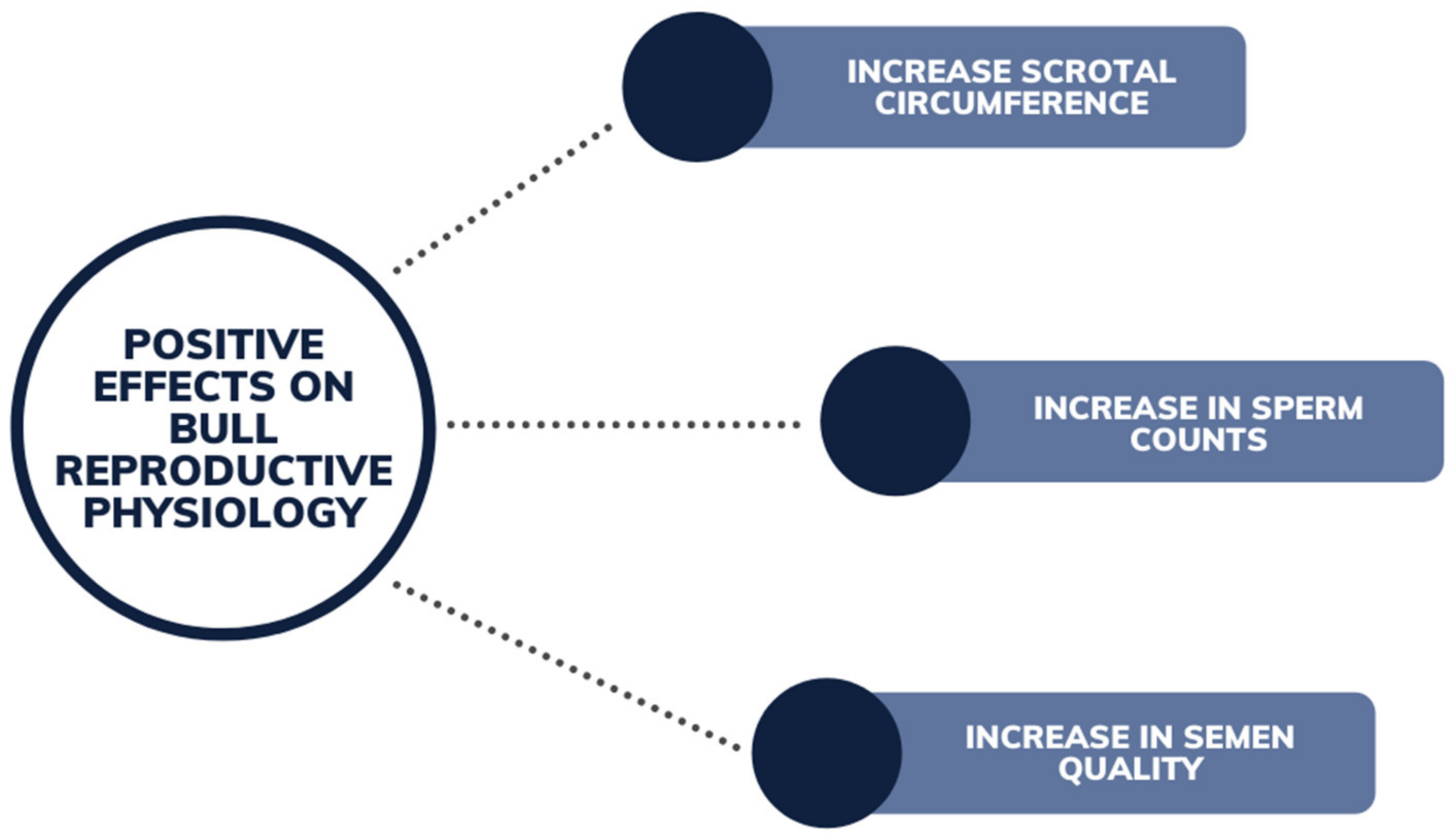 Animals 12 02709 g008