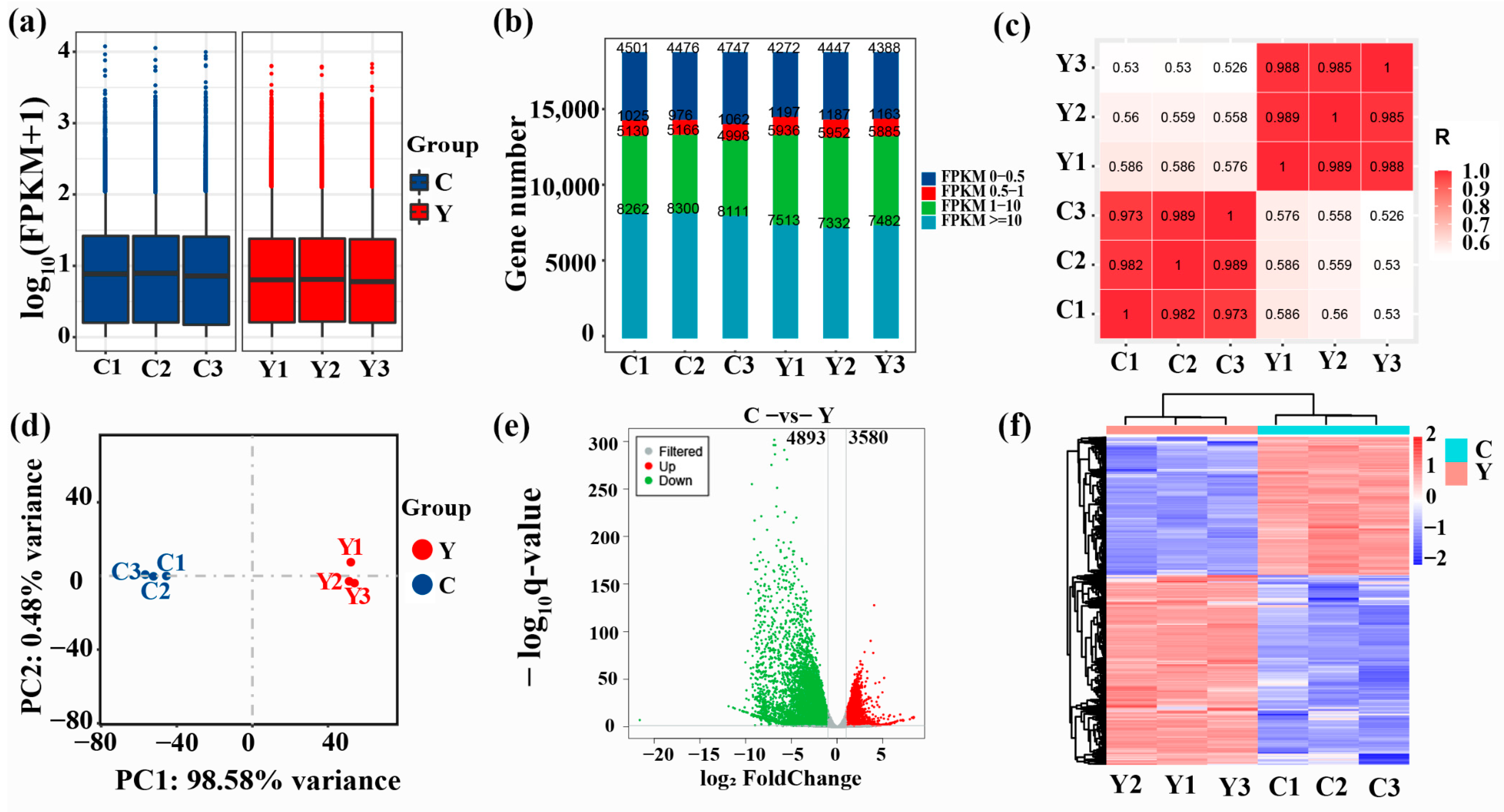 Animals 12 02711 g002