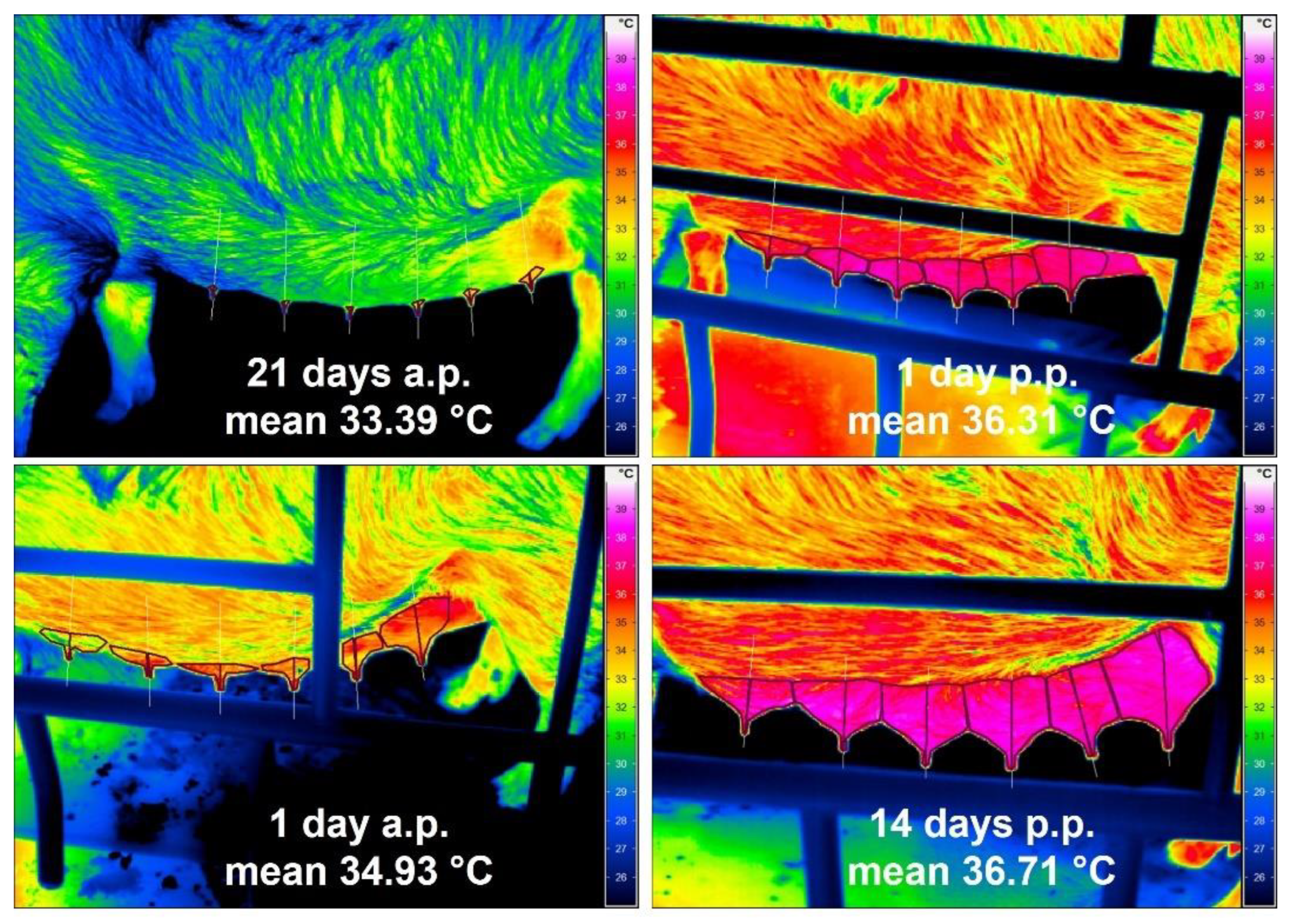 Animals 12 02713 g002 Animals 12 02713 g002