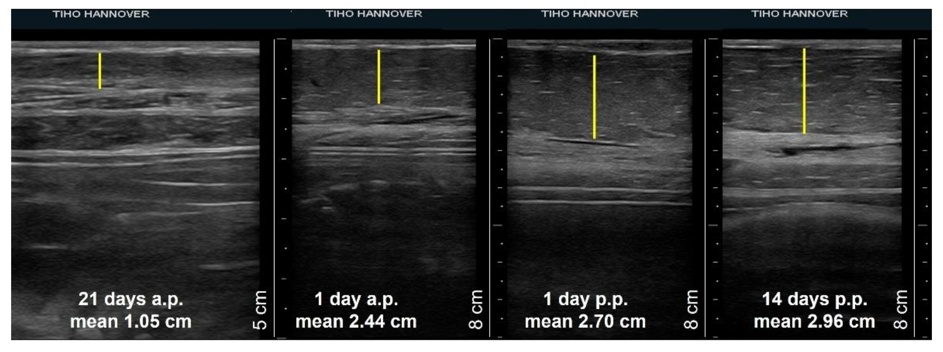 Animals 12 02713 g004 Animals 12 02713 g004