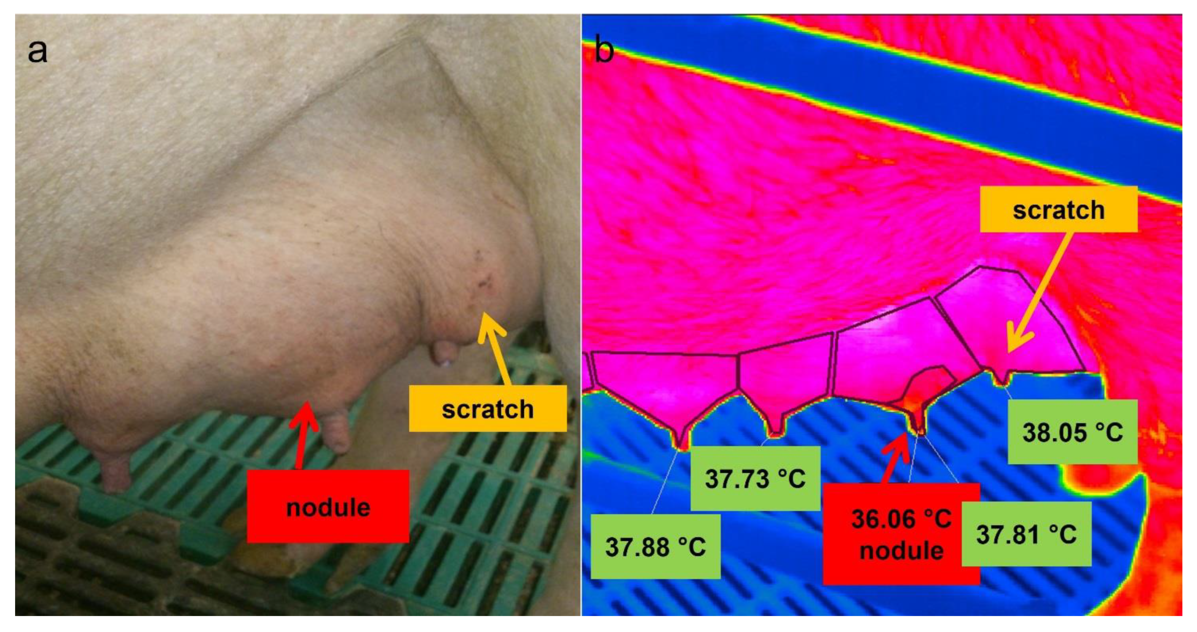 Animals 12 02713 g006 Animals 12 02713 g006