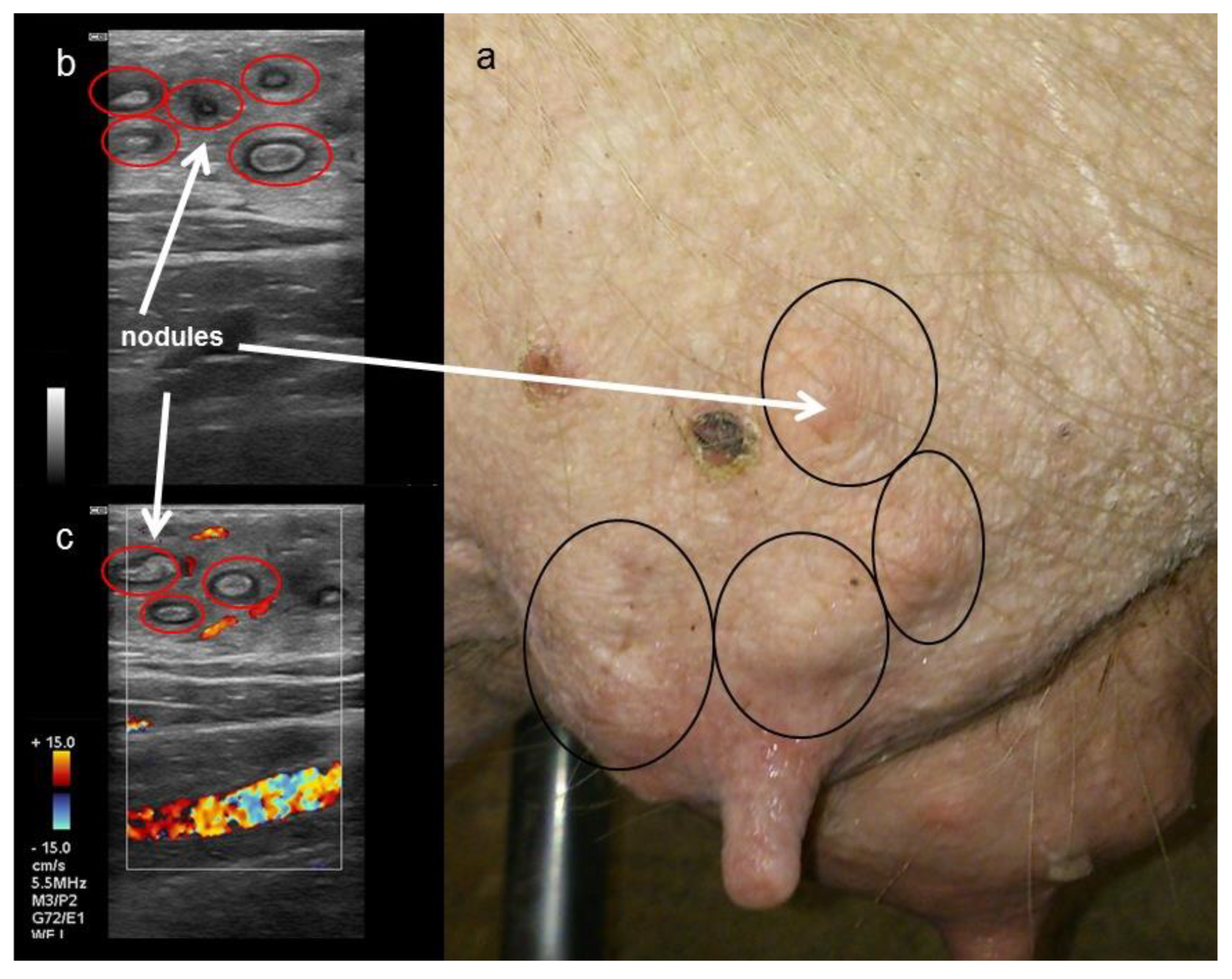 Animals 12 02713 g007 Animals 12 02713 g007