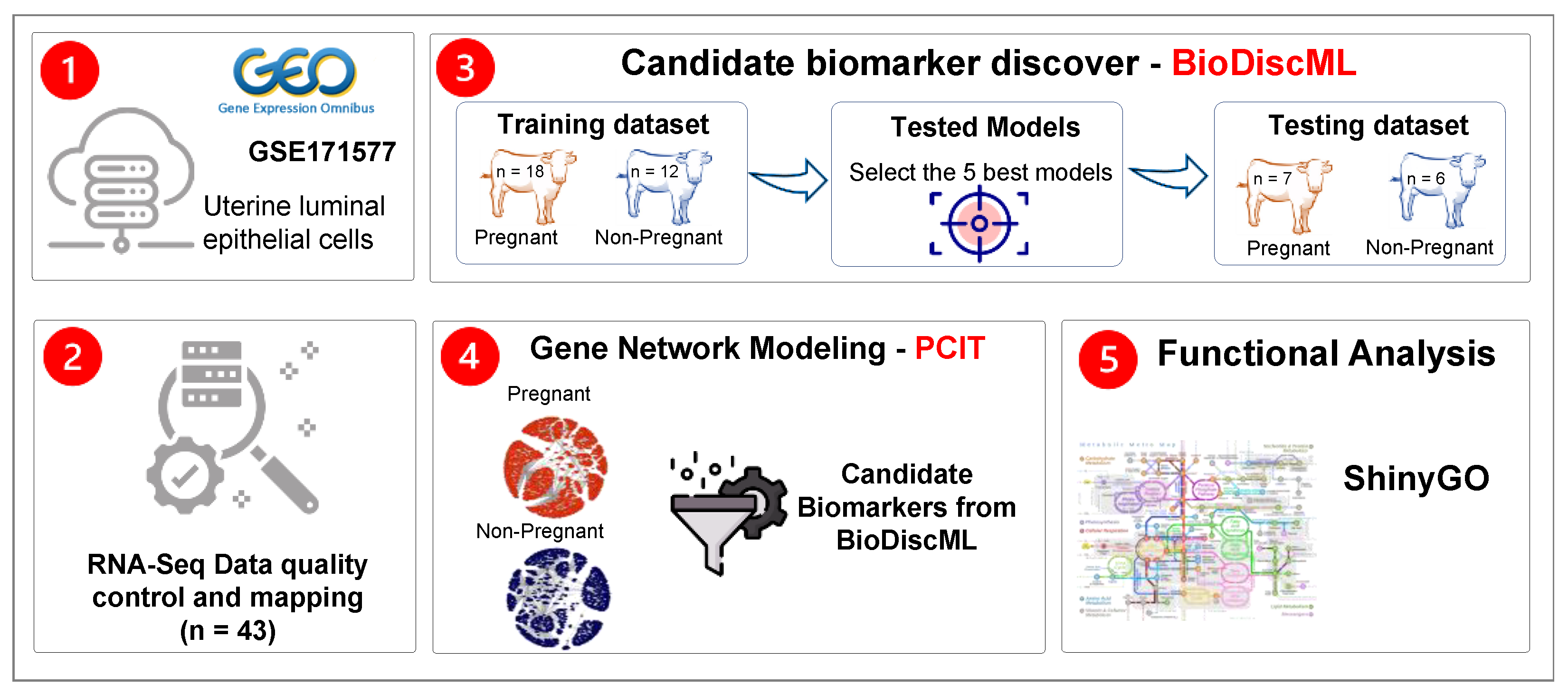 Animals 12 02715 g001 Animals 12 02715 g001