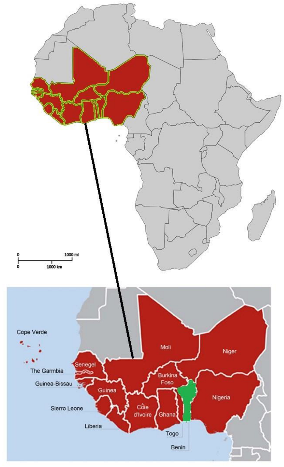 Animals 12 02718 g001 Animals 12 02718 g001