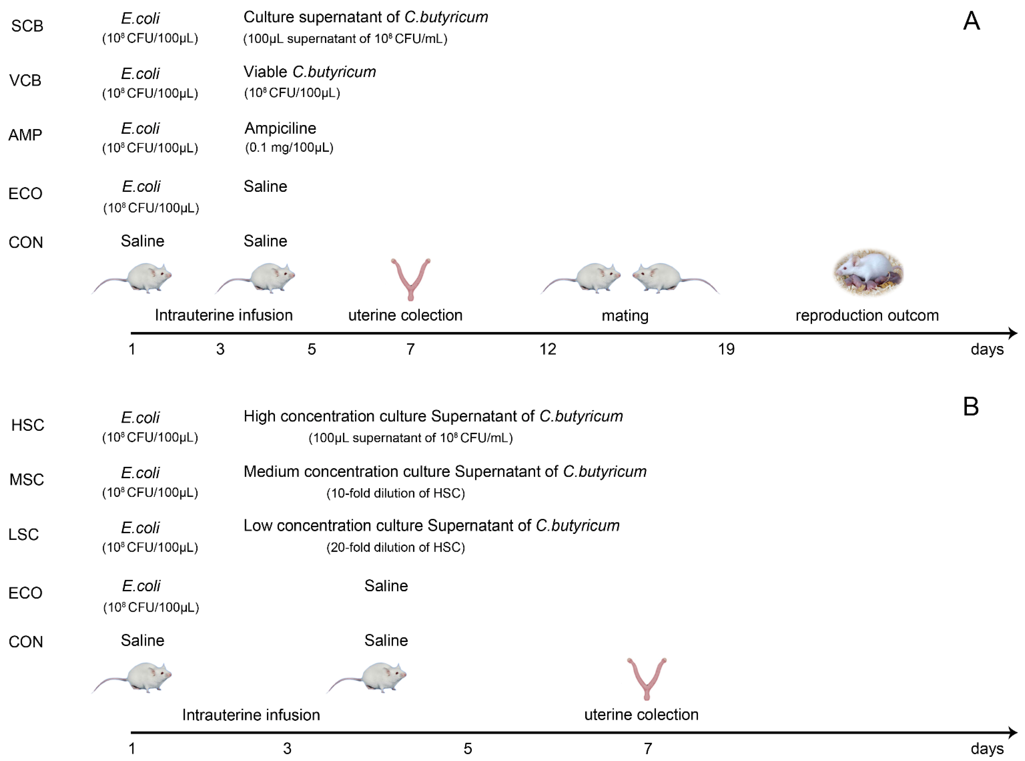 Animals 12 02719 g001 Animals 12 02719 g001