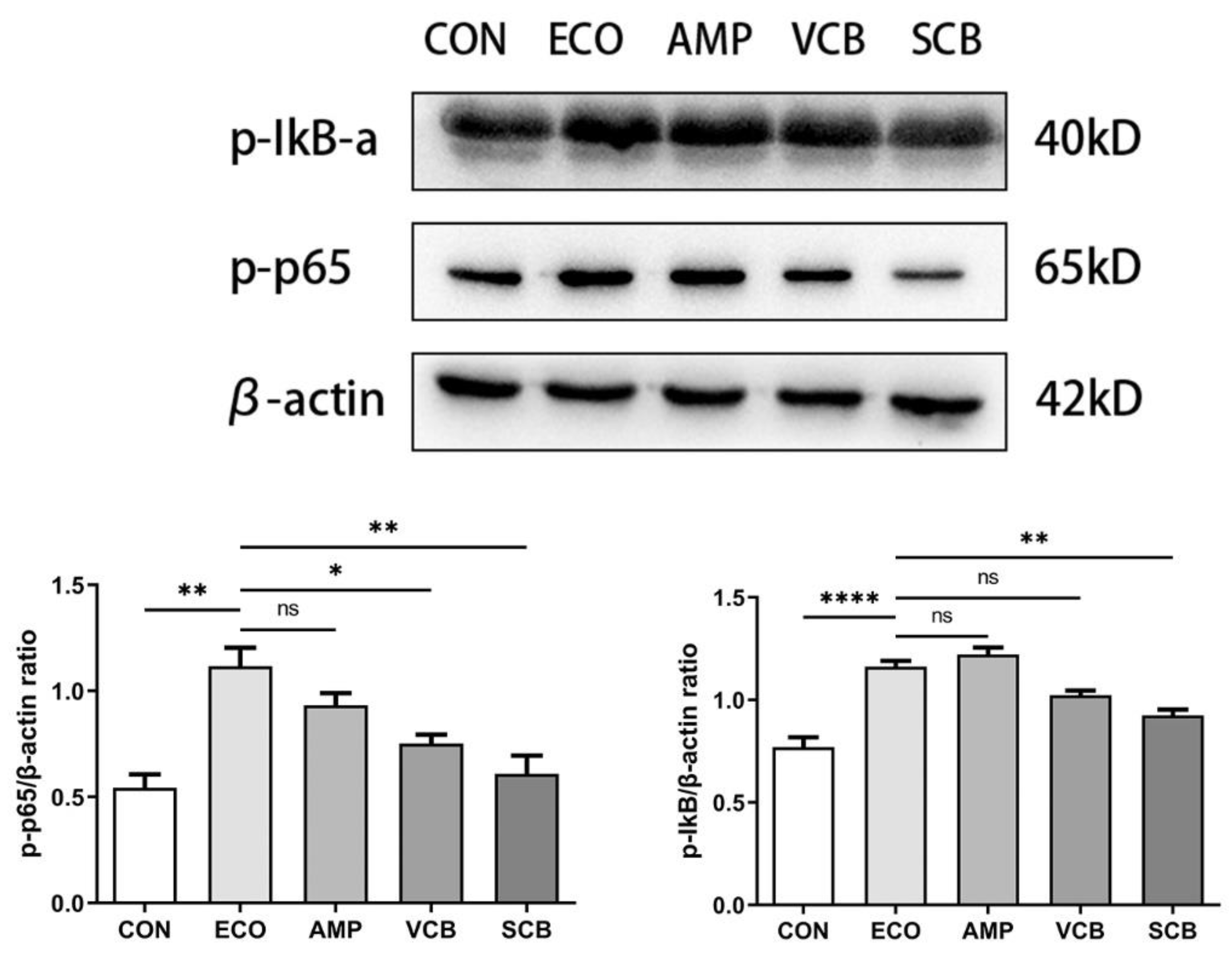 Animals 12 02719 g007 Animals 12 02719 g007