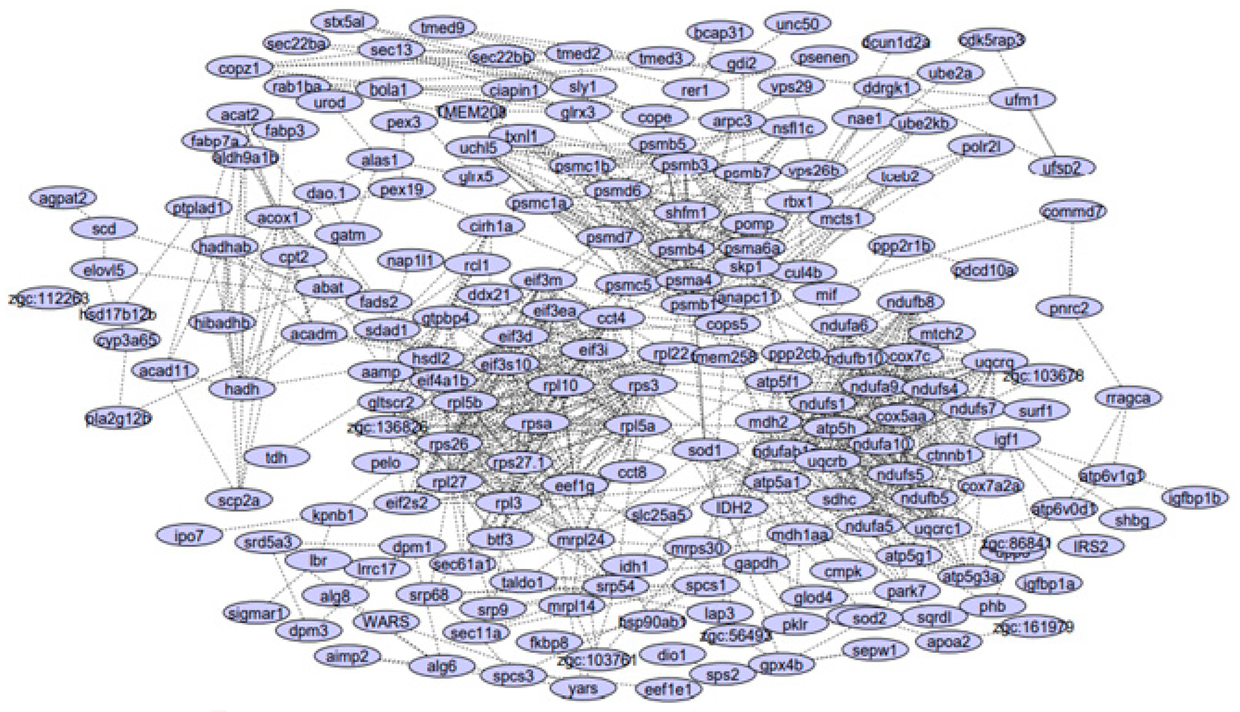 Animals 12 02724 g002