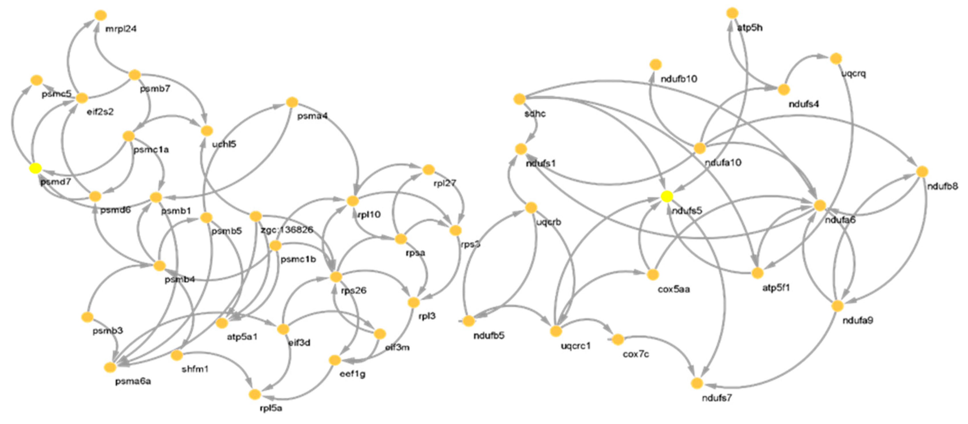 Animals 12 02724 g004