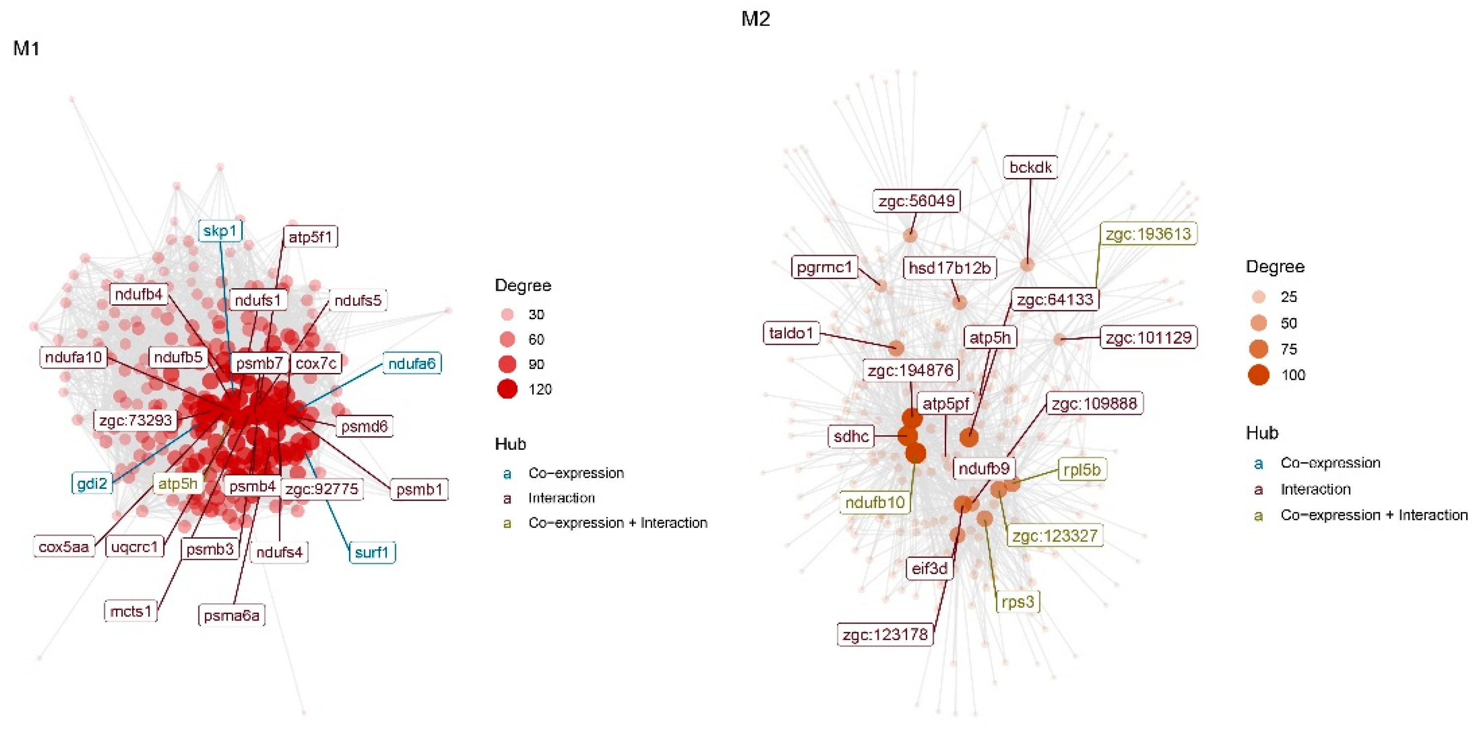 Animals 12 02724 g008