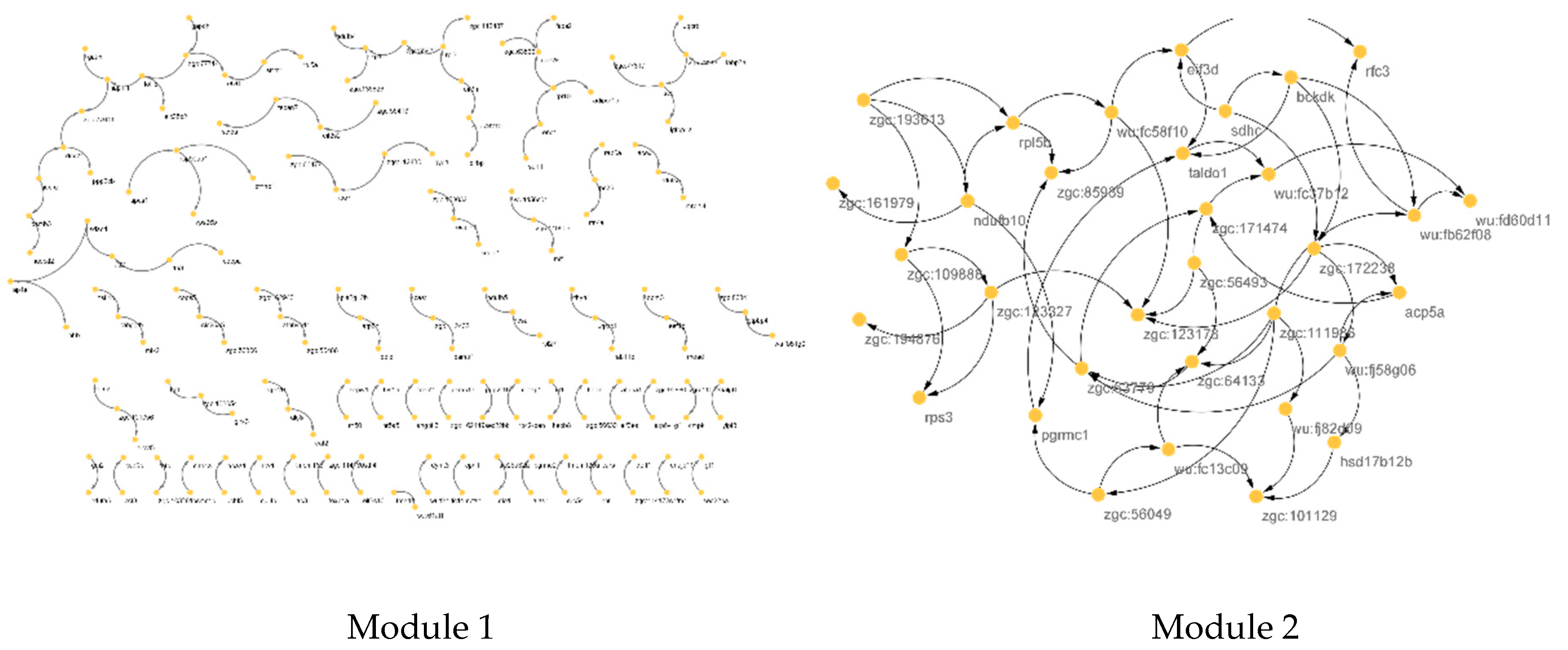 Animals 12 02724 g009