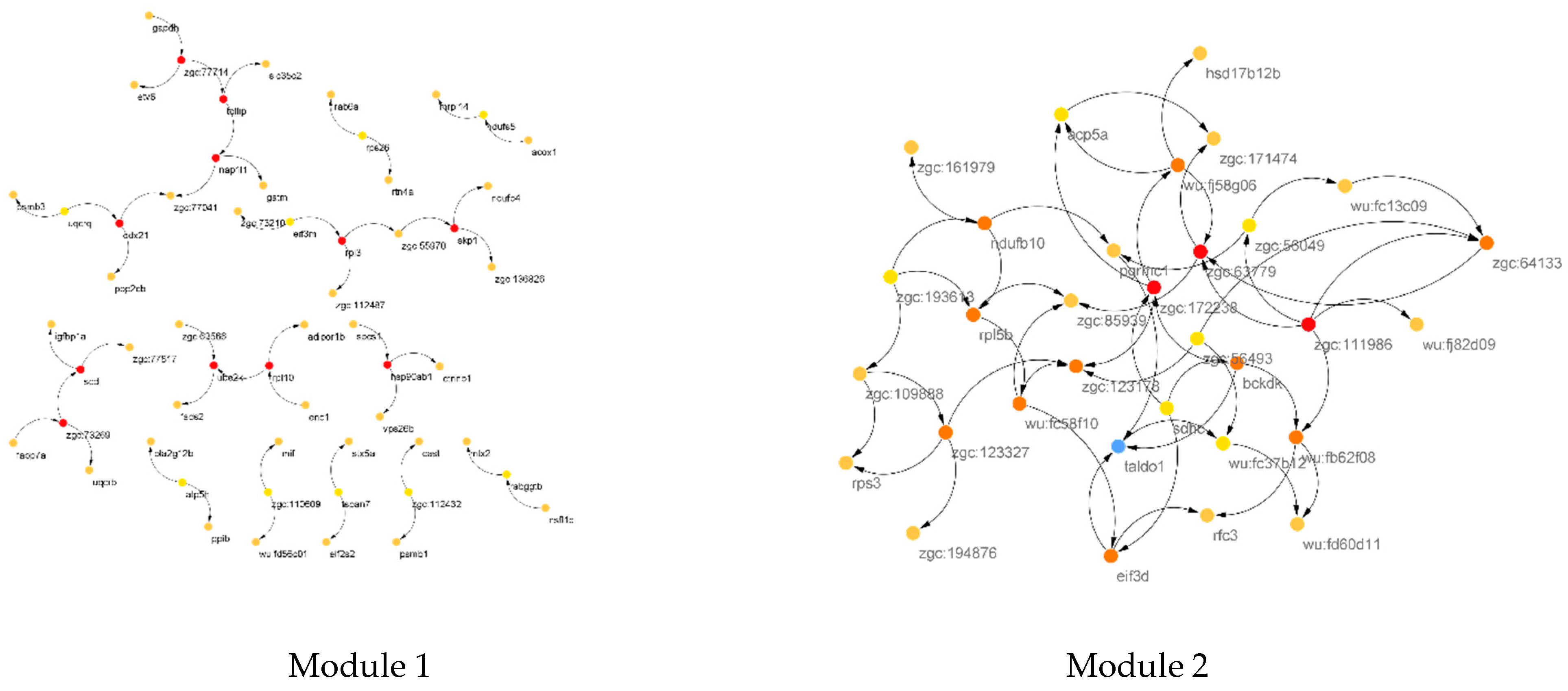 Animals 12 02724 g010