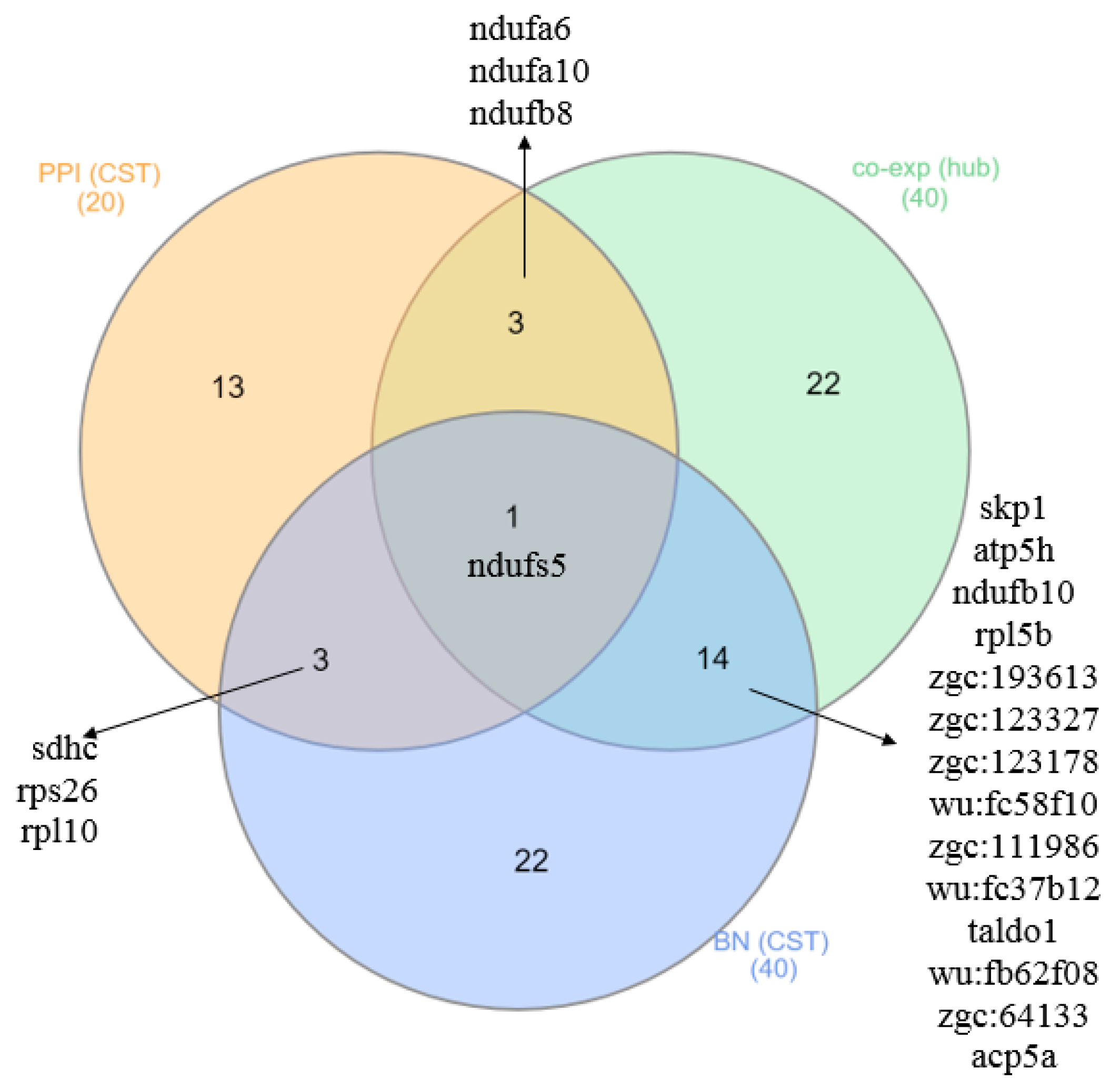 Animals 12 02724 g011