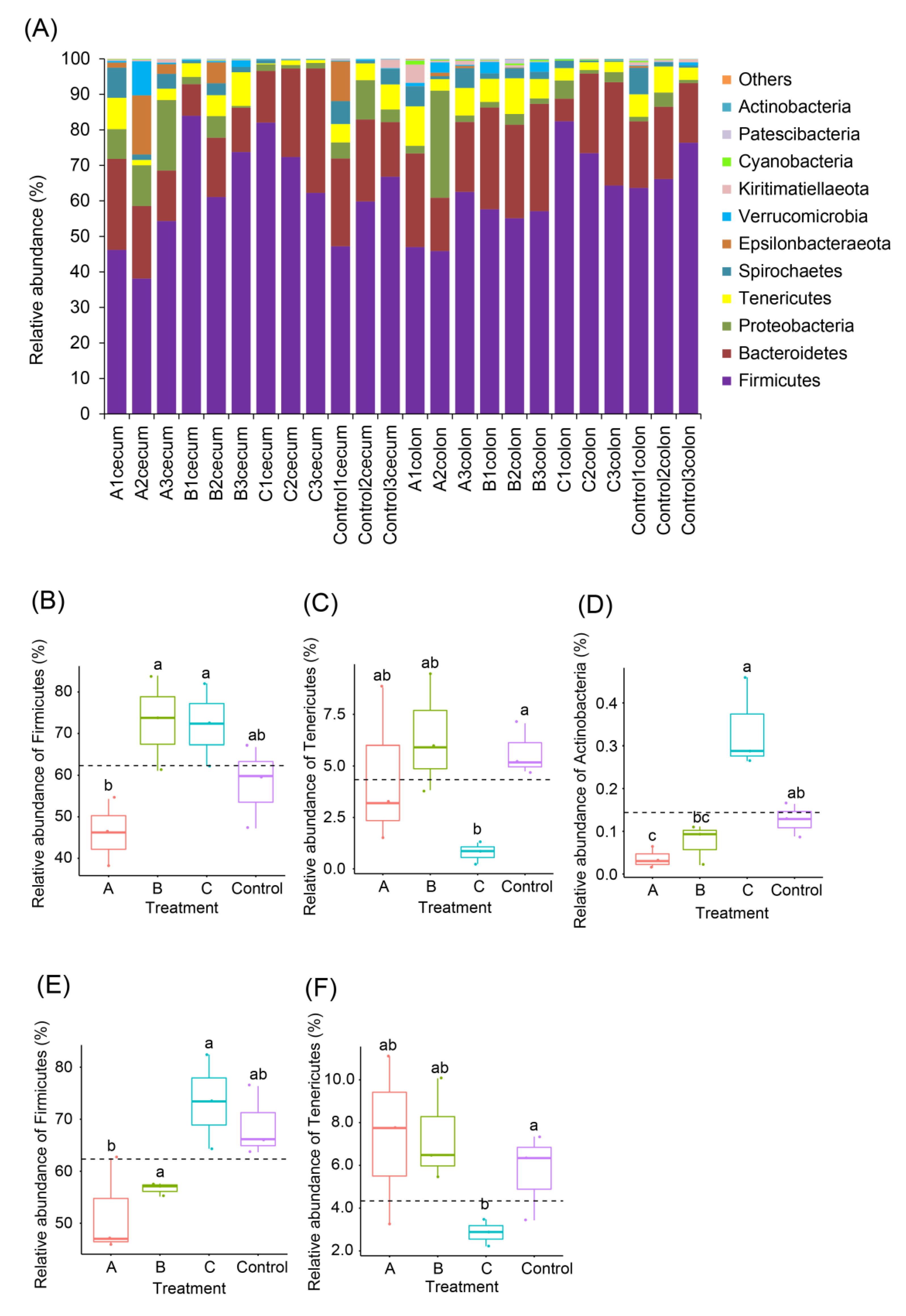 Animals 12 02728 g004