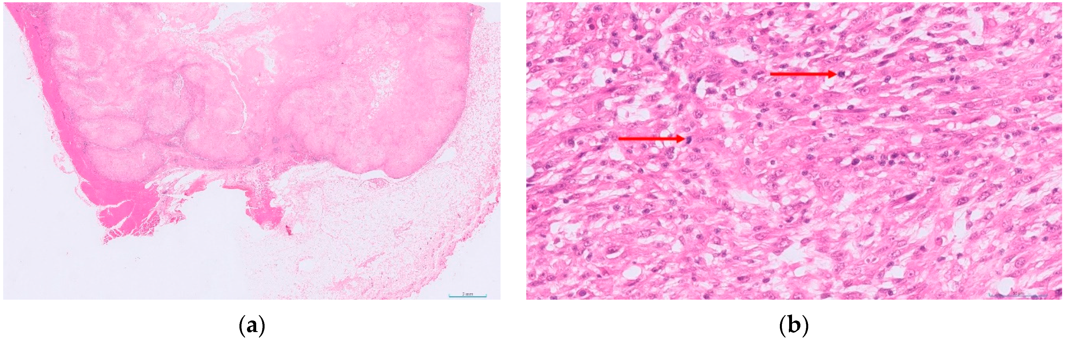 Animals 12 02736 g003 Animals 12 02736 g003