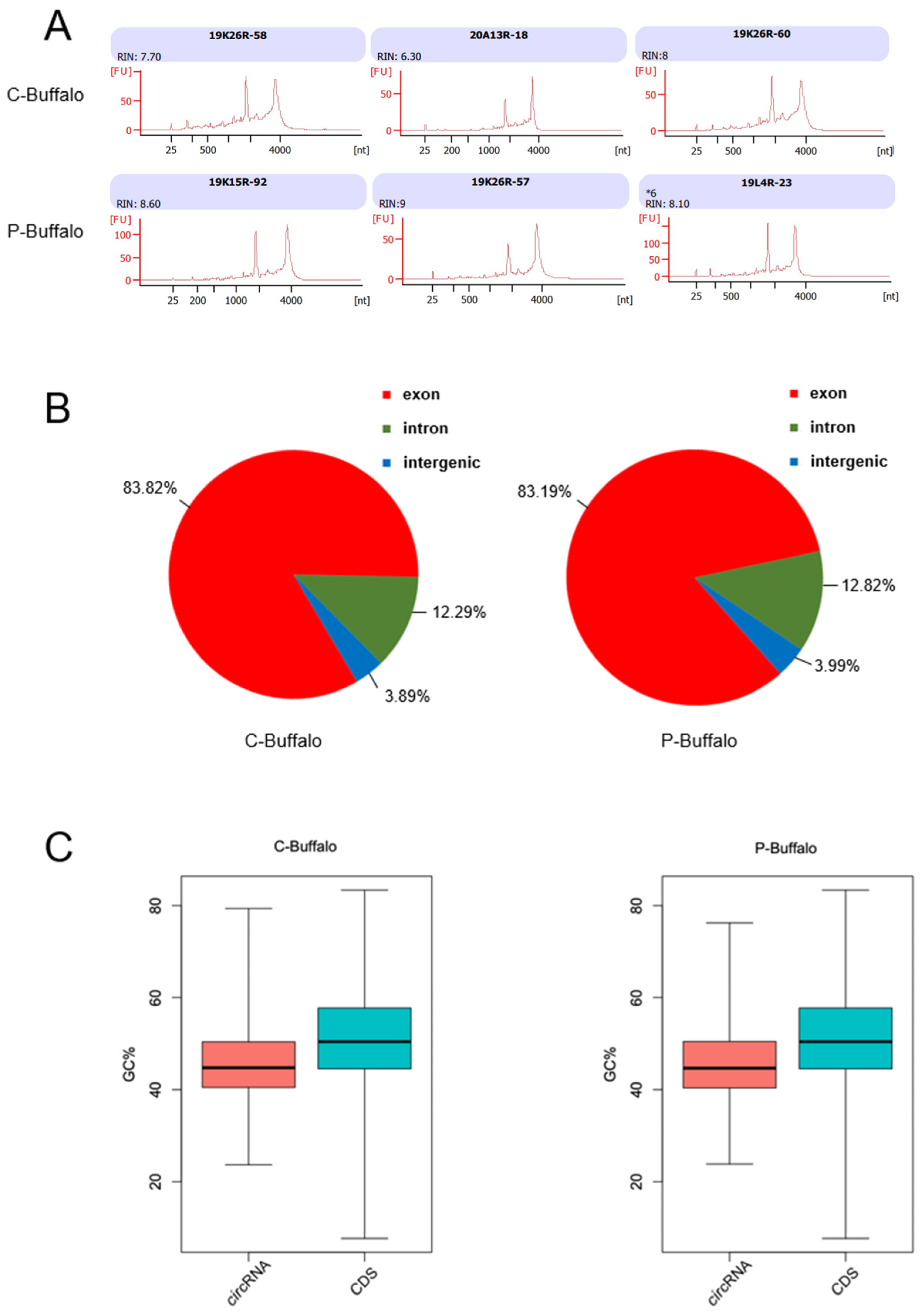 Animals 12 02748 g001 Animals 12 02748 g001