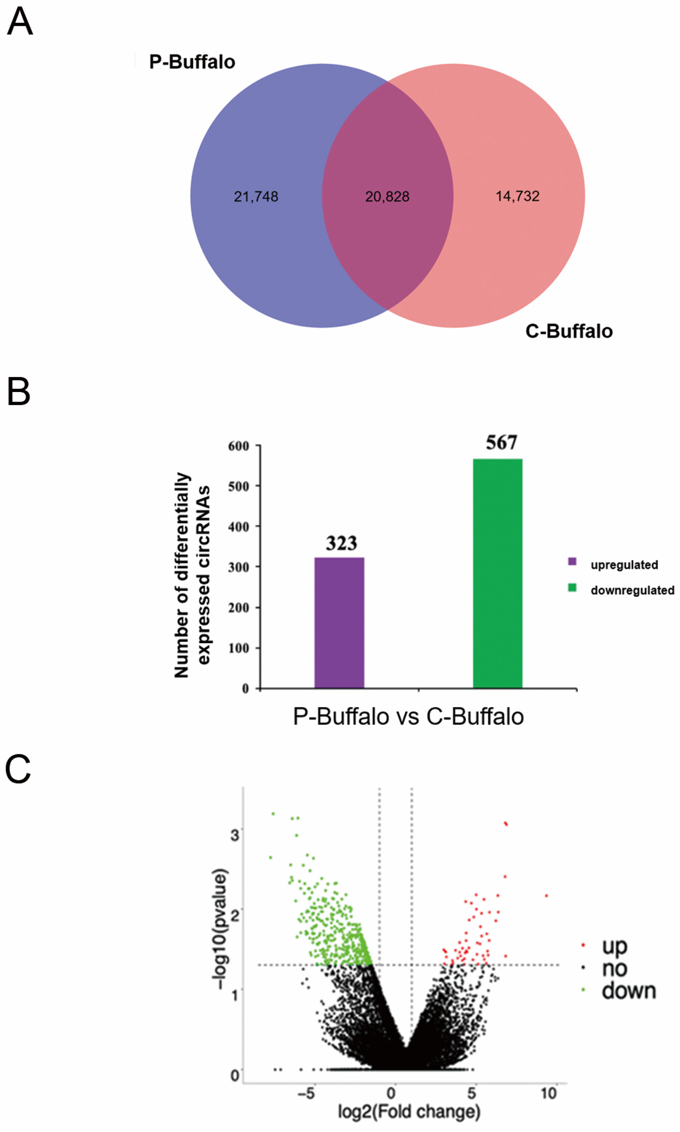Animals 12 02748 g002 Animals 12 02748 g002
