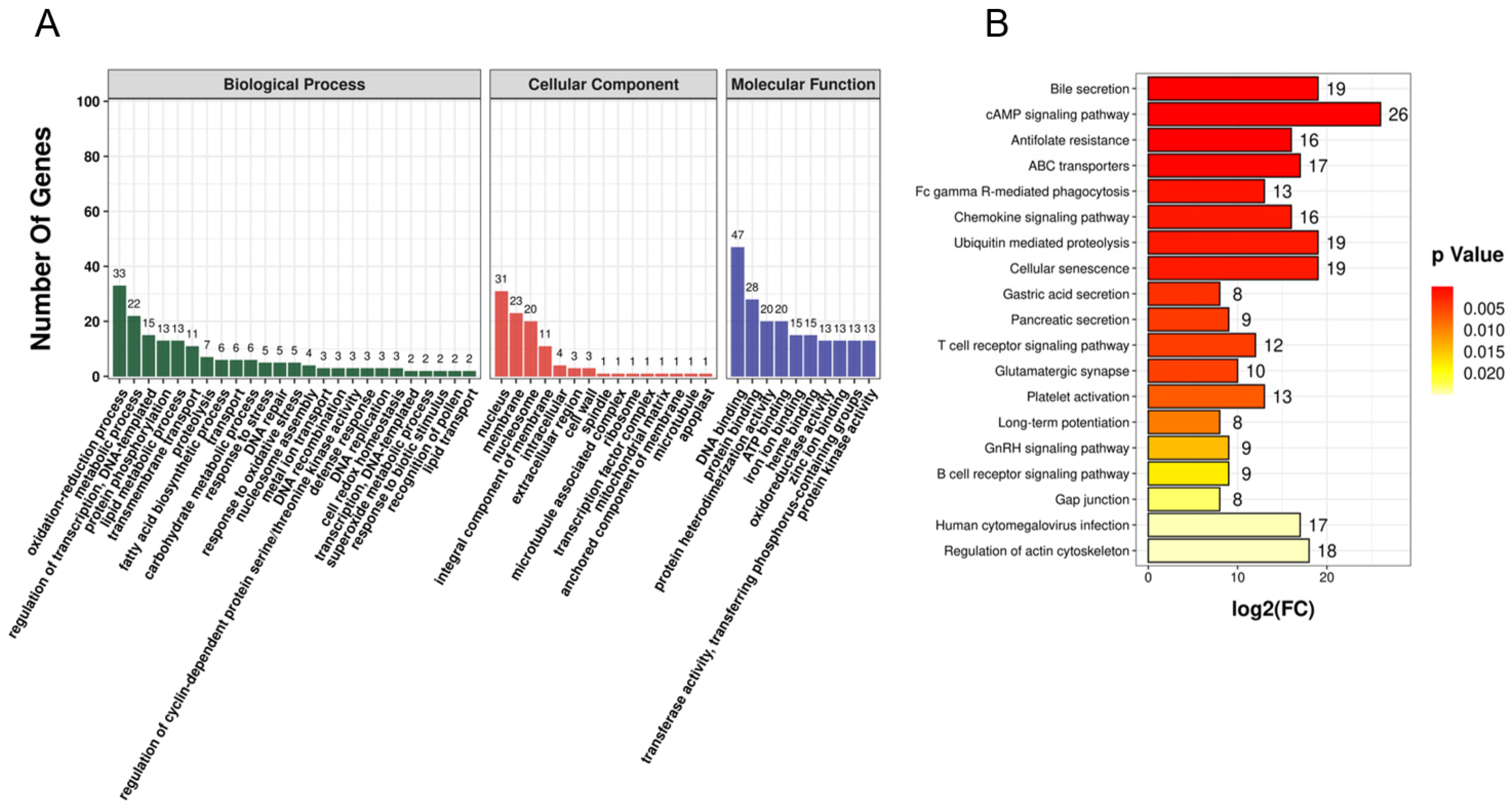 Animals 12 02748 g004 Animals 12 02748 g004