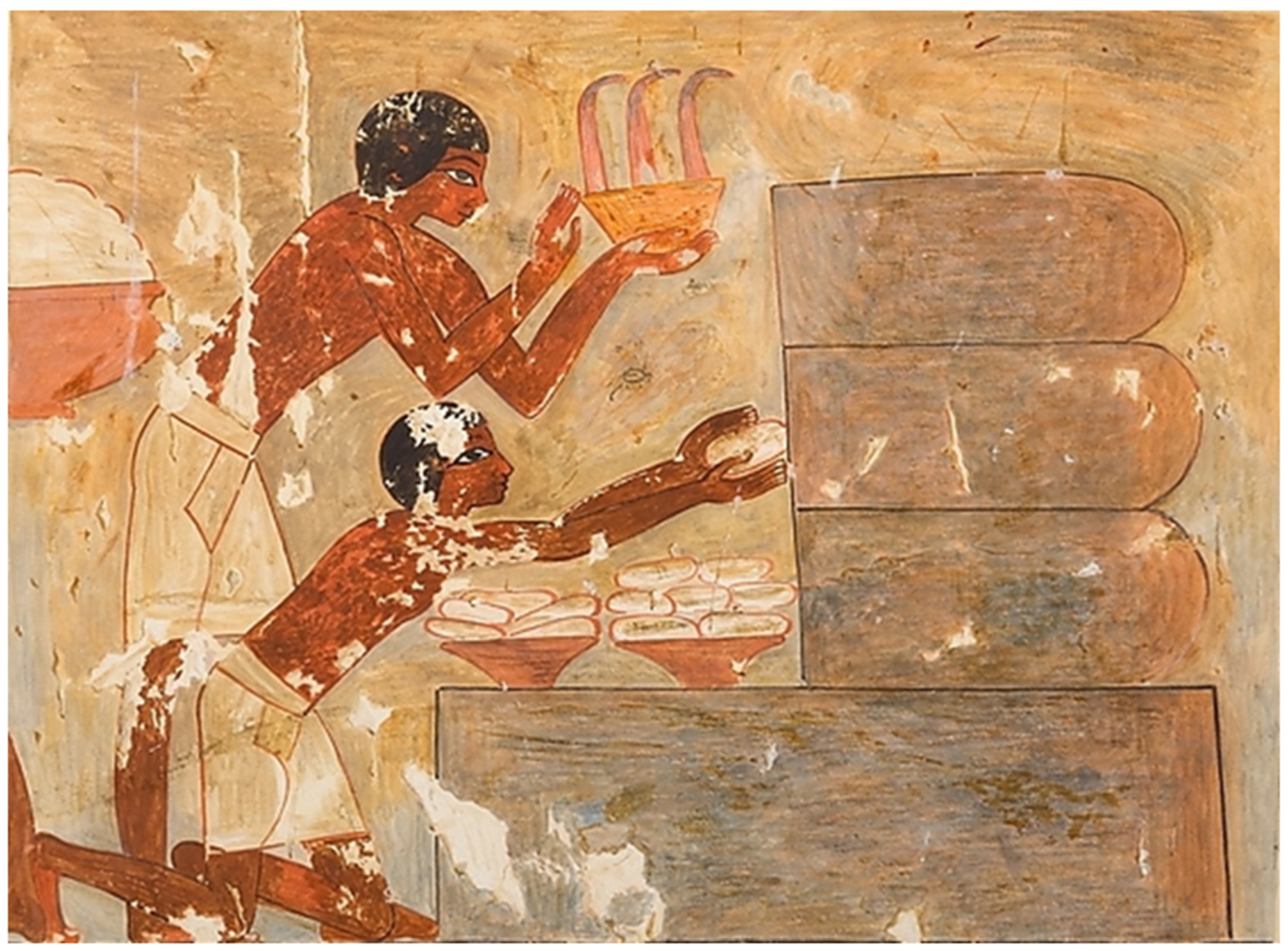 Animals 12 02749 g001 Animals 12 02749 g001