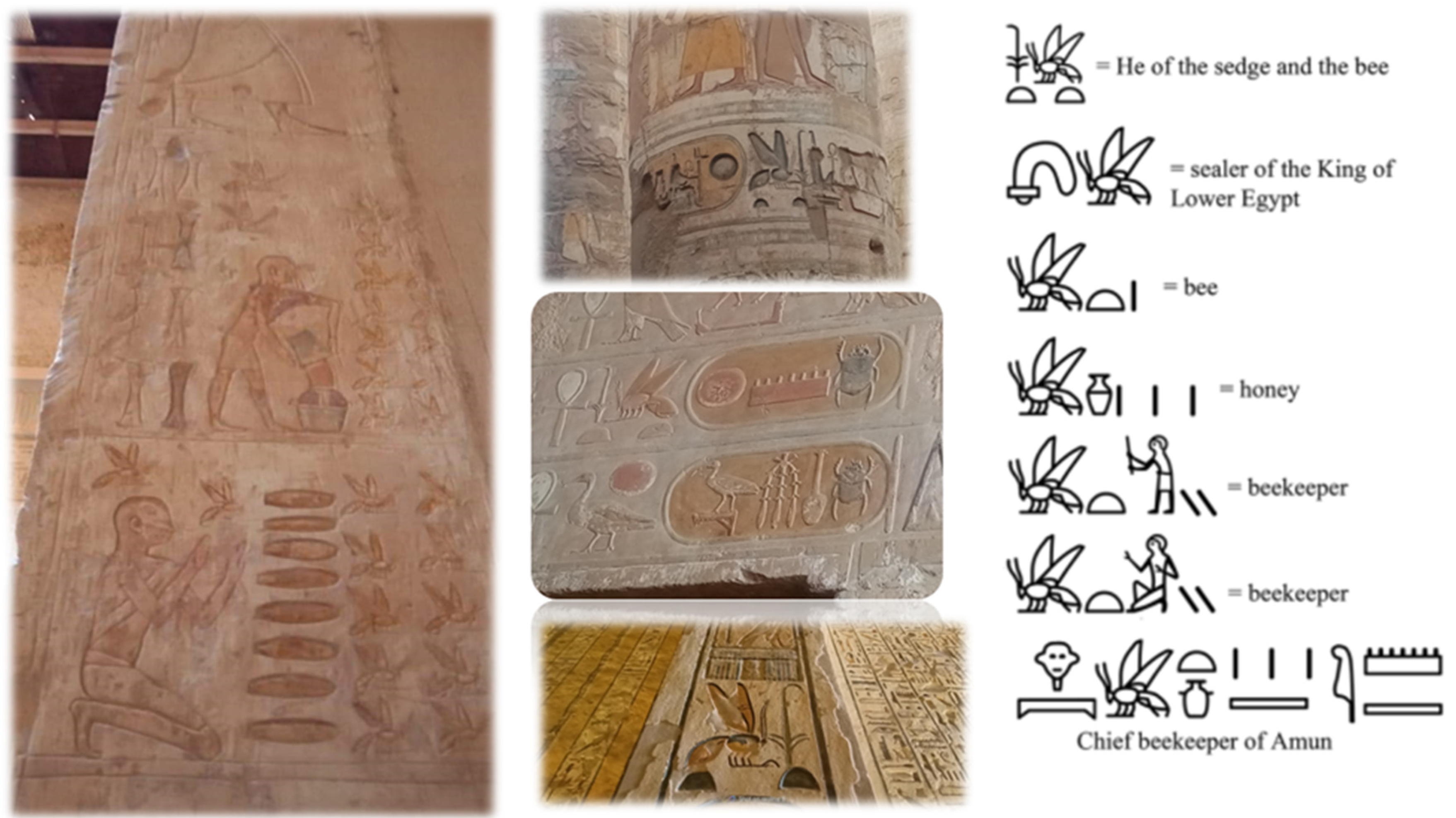 Animals 12 02749 g002 Animals 12 02749 g002